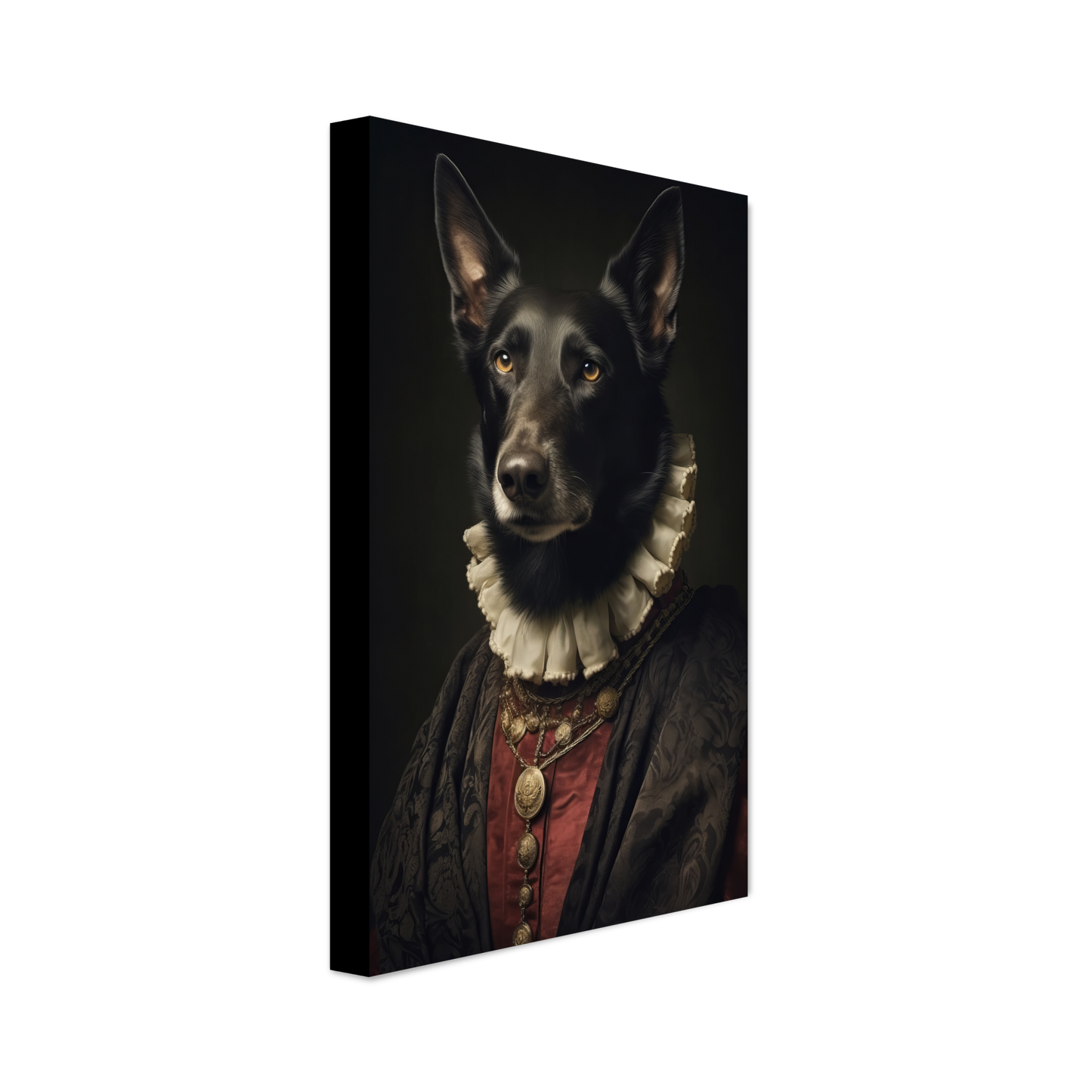 Belgischer Schäferhund Renaissance (DOG311)