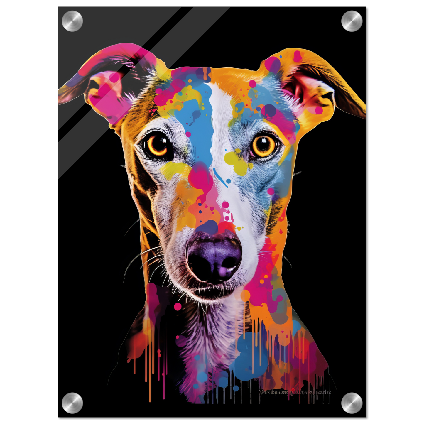 Whippet Hund Pop-Art (DOG313)