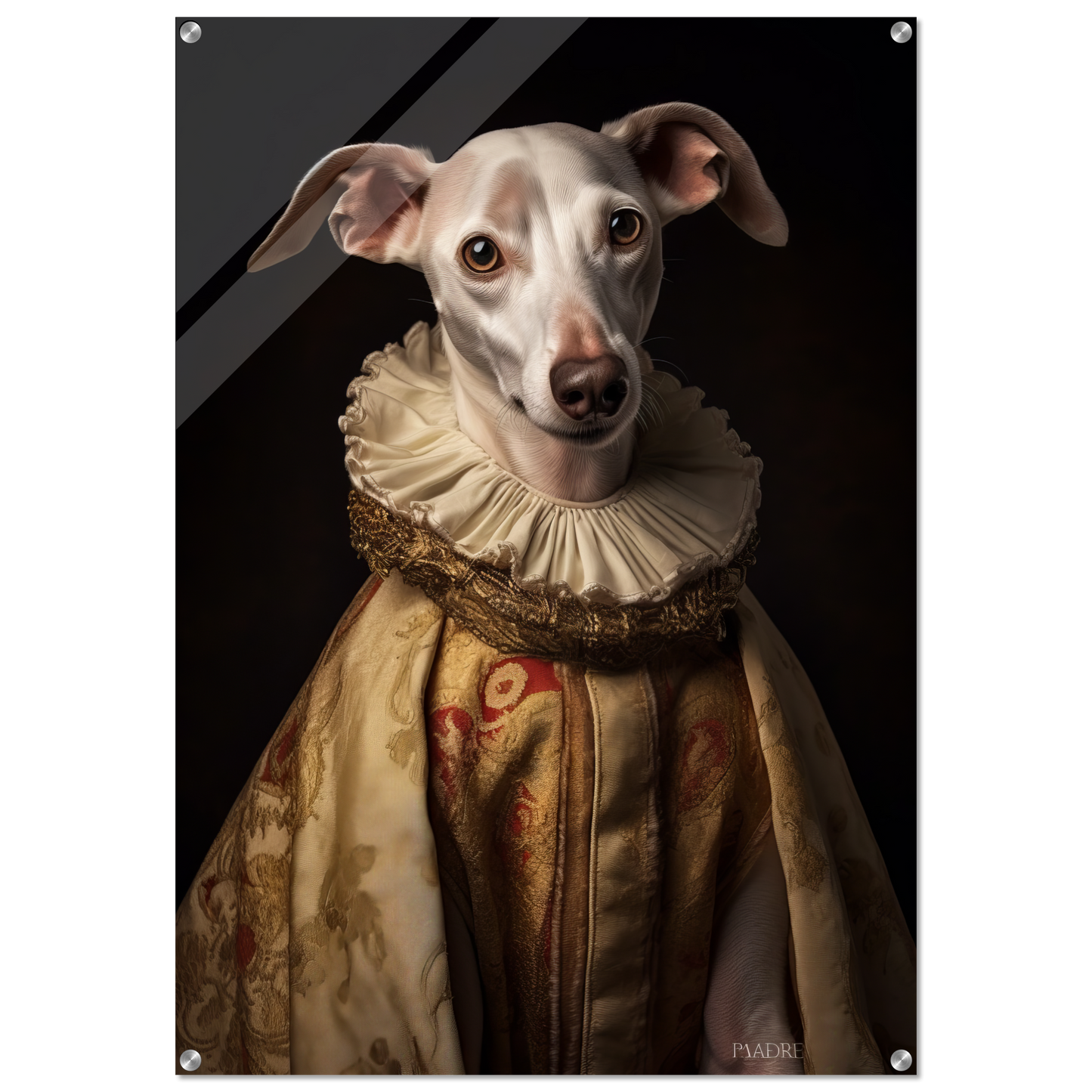 Whippet Hund Renaissance (DOG322)