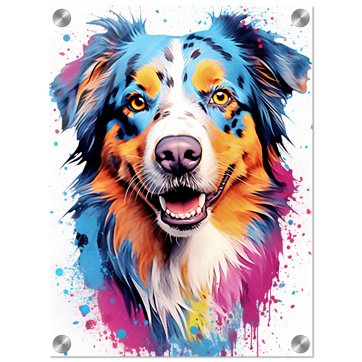 Australia Shepherd Pop Art (DOG330)