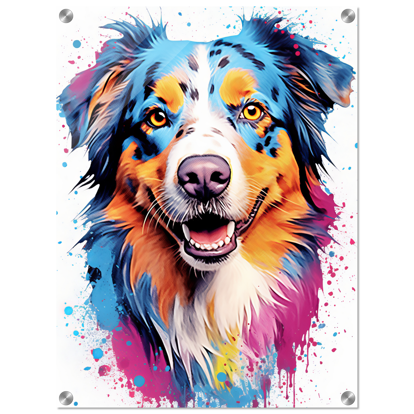 Australia Shepherd Pop Art (DOG330)