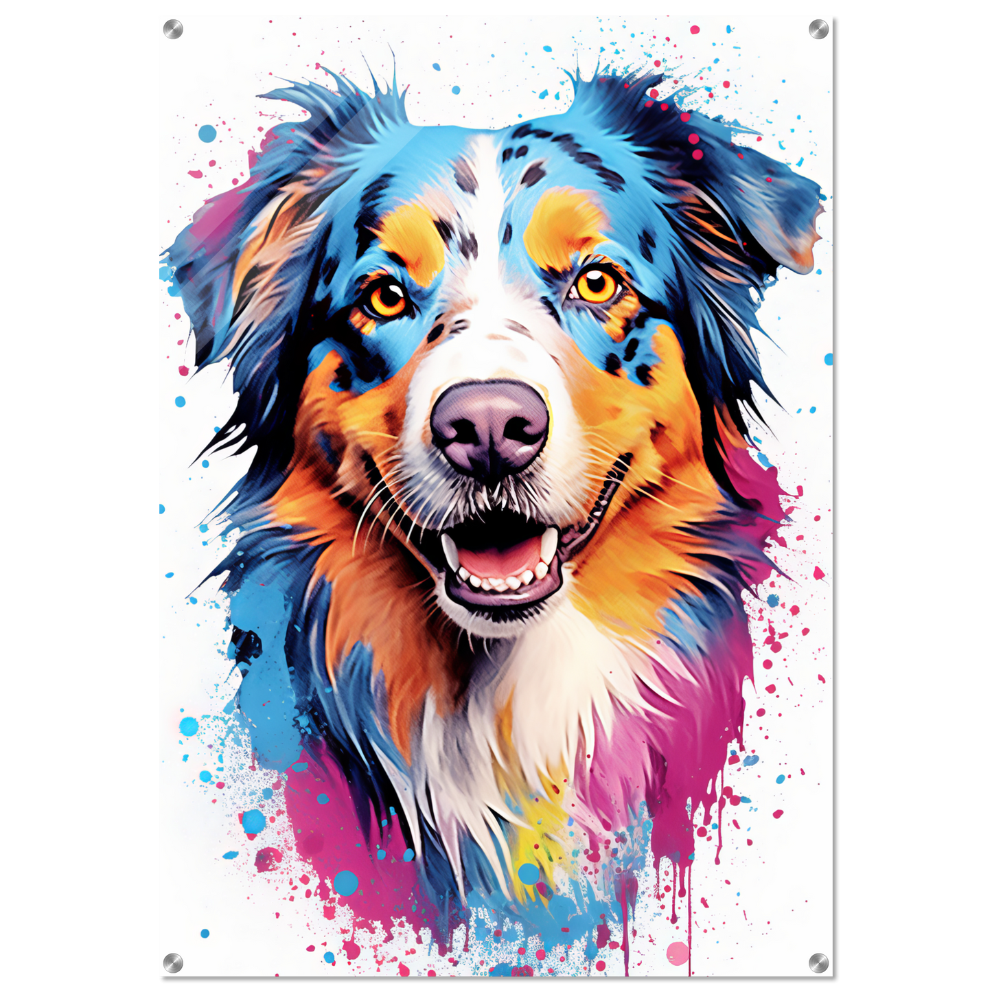 Australia Shepherd Pop Art (DOG330)