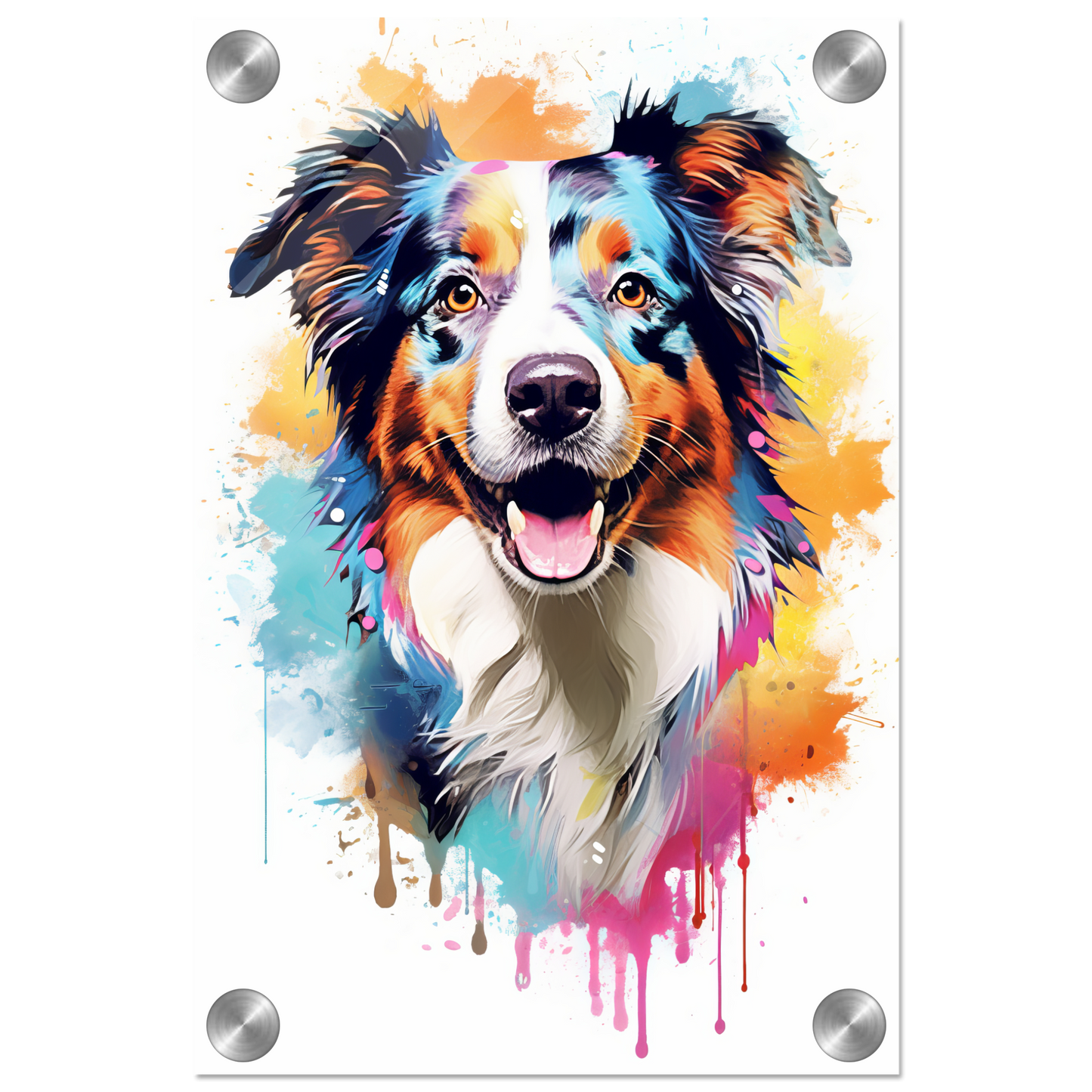 Australia Shepherd Pop Art (DOG331)
