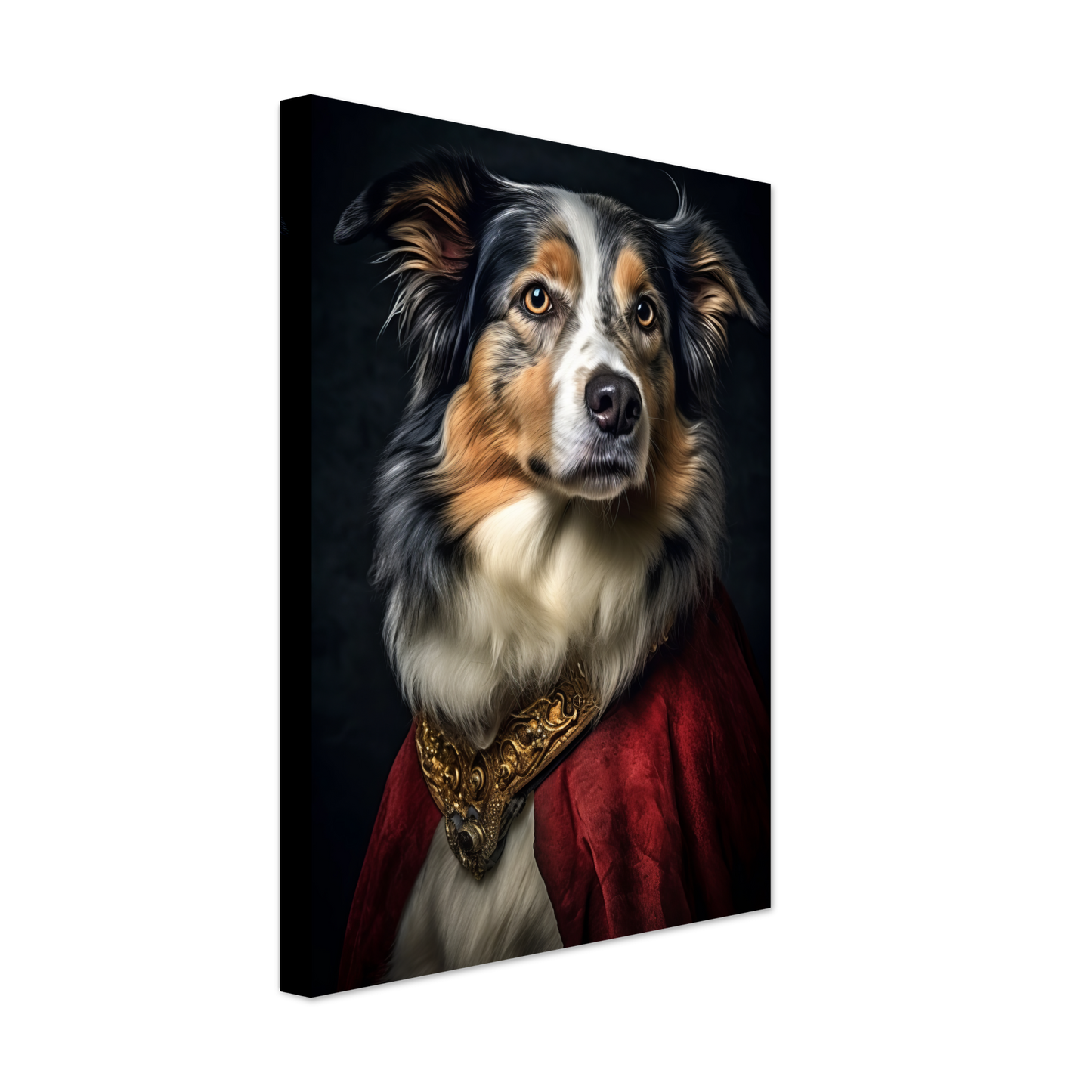 Australia Shepherd Renaissance (DOG333)