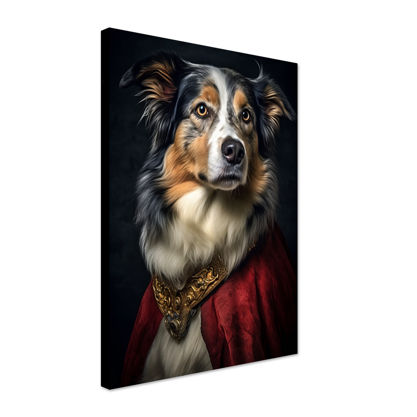 Australia Shepherd Renaissance (DOG333)