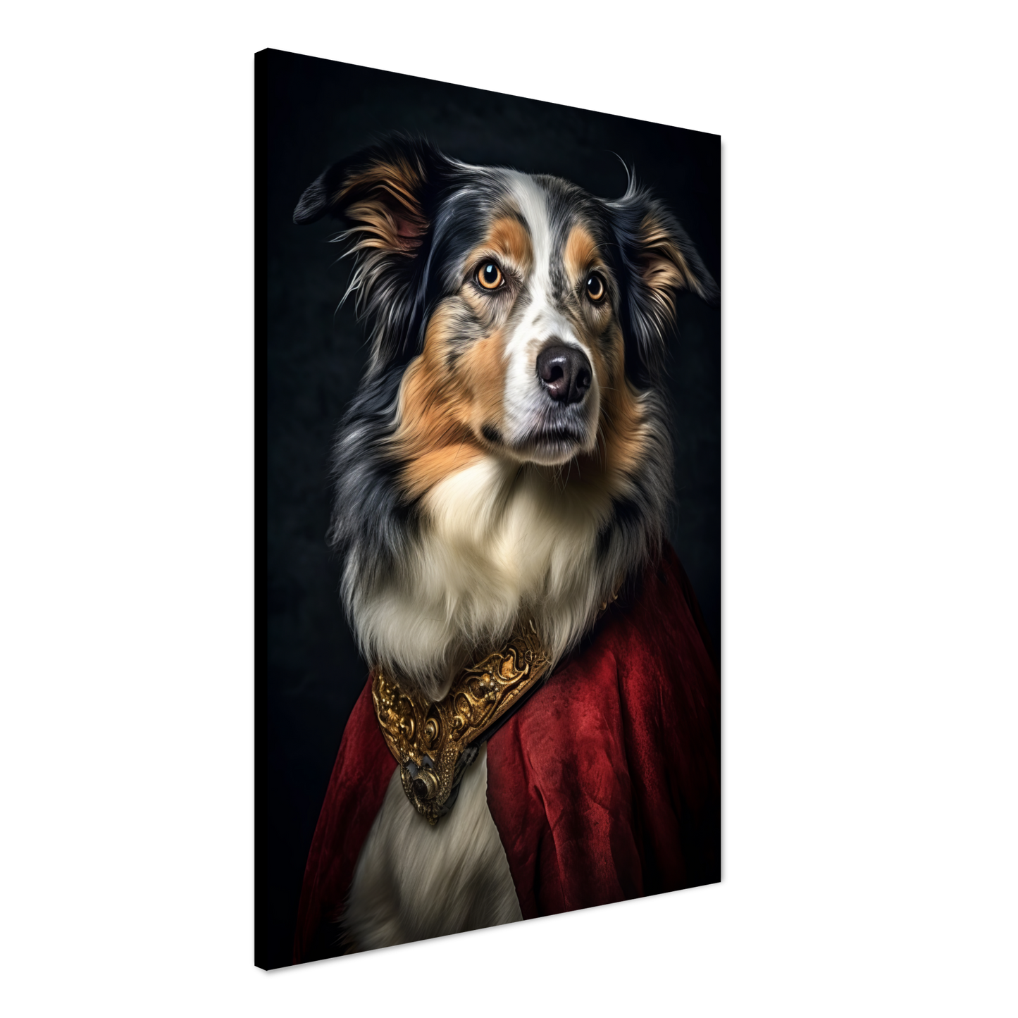Australia Shepherd Renaissance (DOG333)