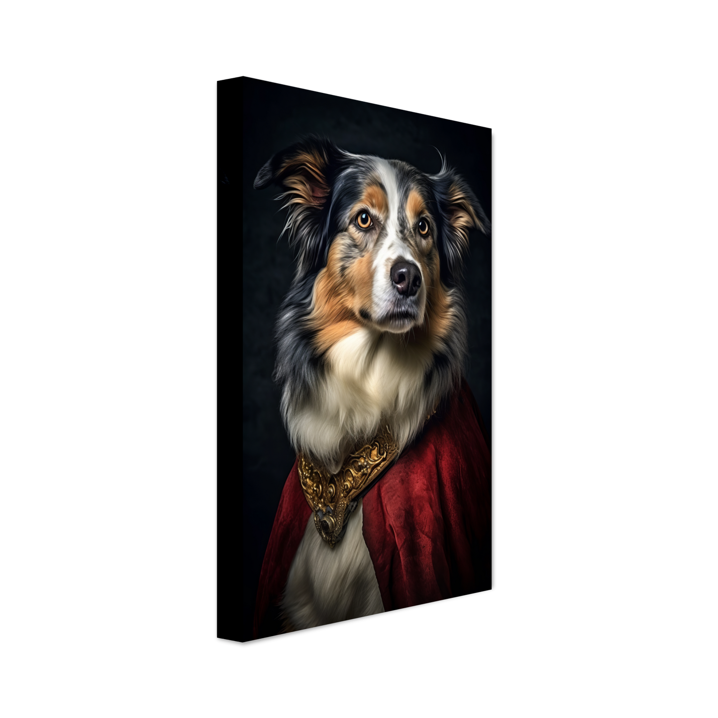Australia Shepherd Renaissance (DOG333)