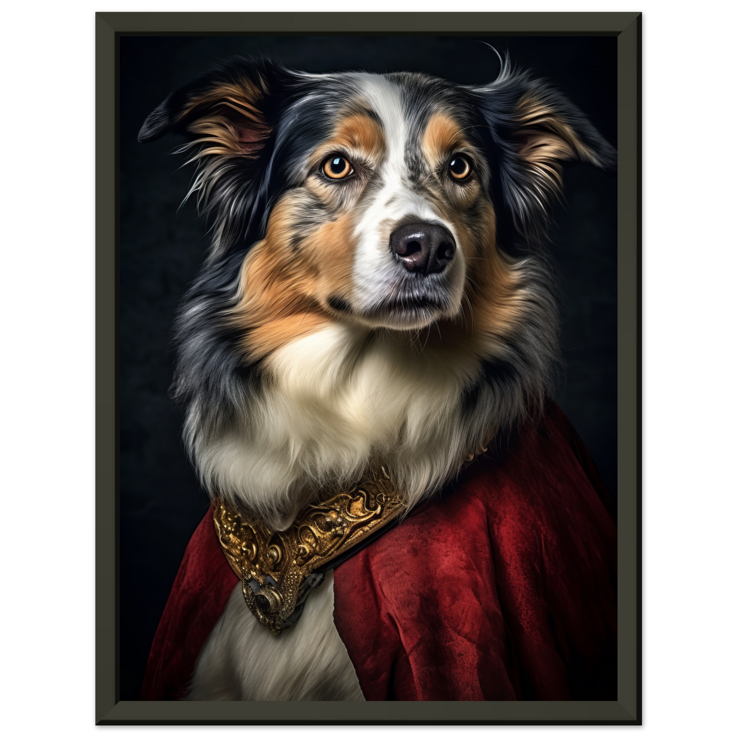 Australia Shepherd Renaissance (DOG333)