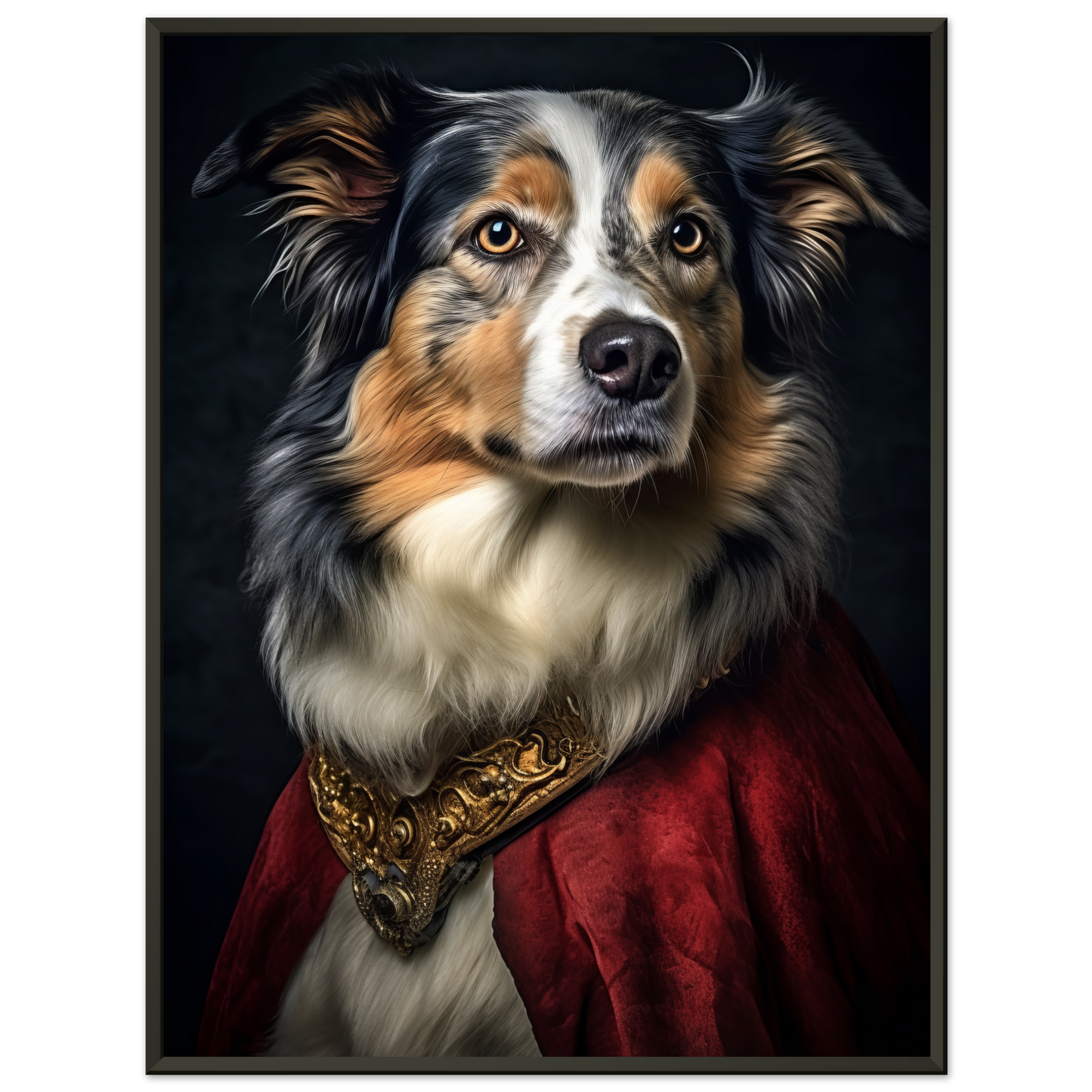 Australia Shepherd Renaissance (DOG333)