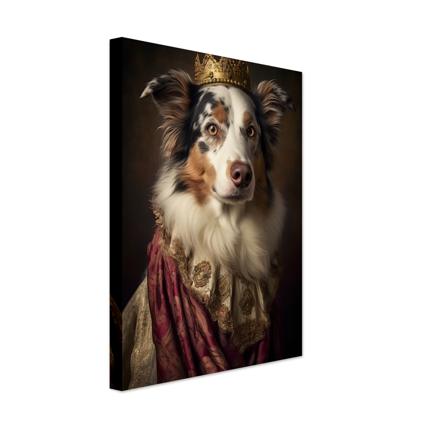 Australien Shepherd Renaissance (DOG335)