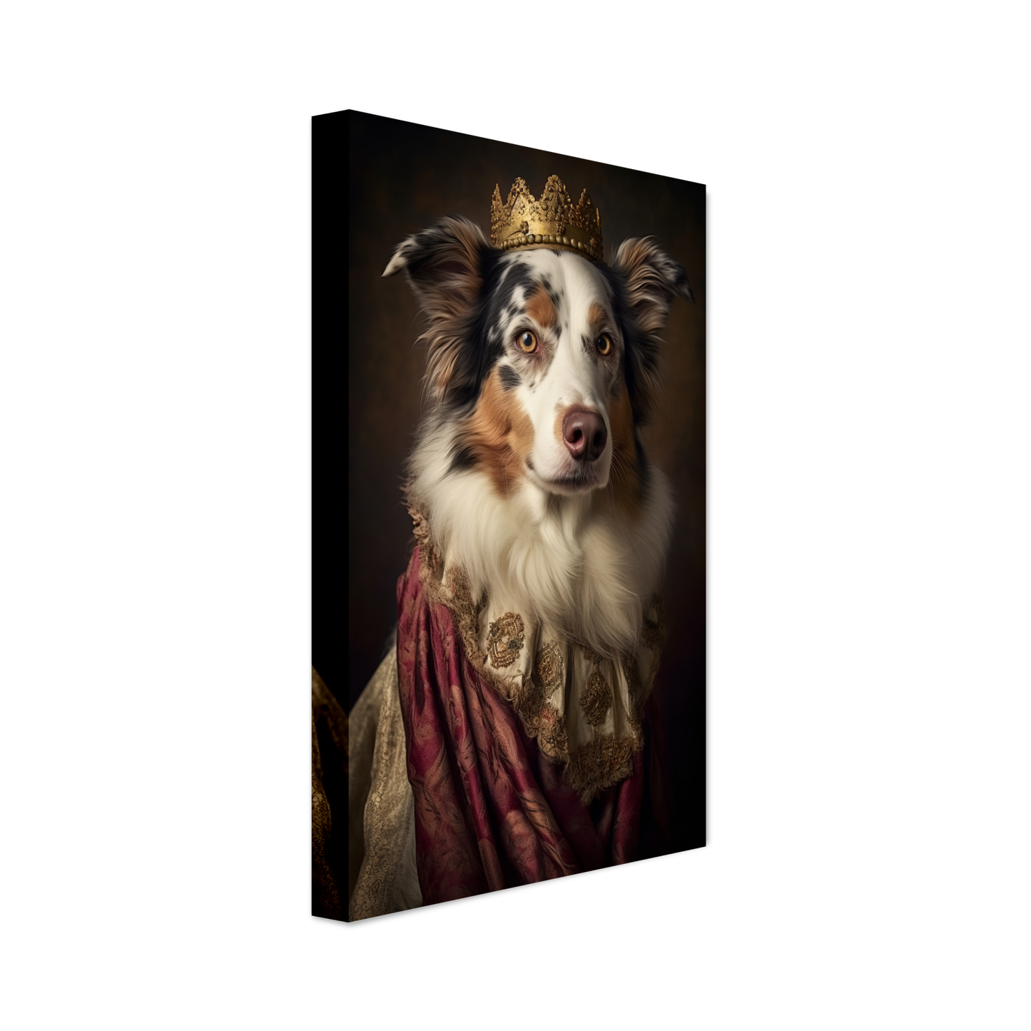 Australien Shepherd Renaissance (DOG335)