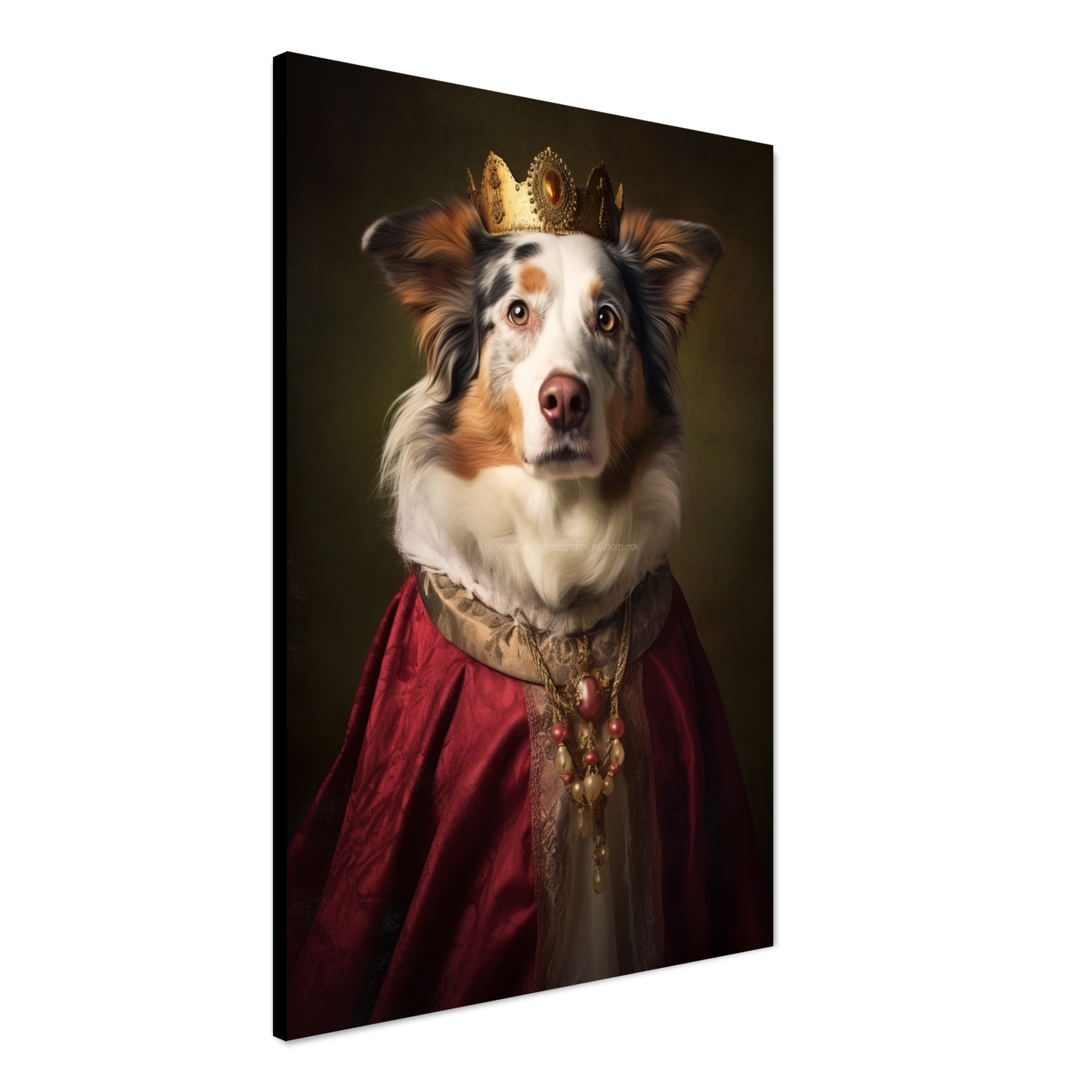 Australia Shepherd Renaissance (DOG336)