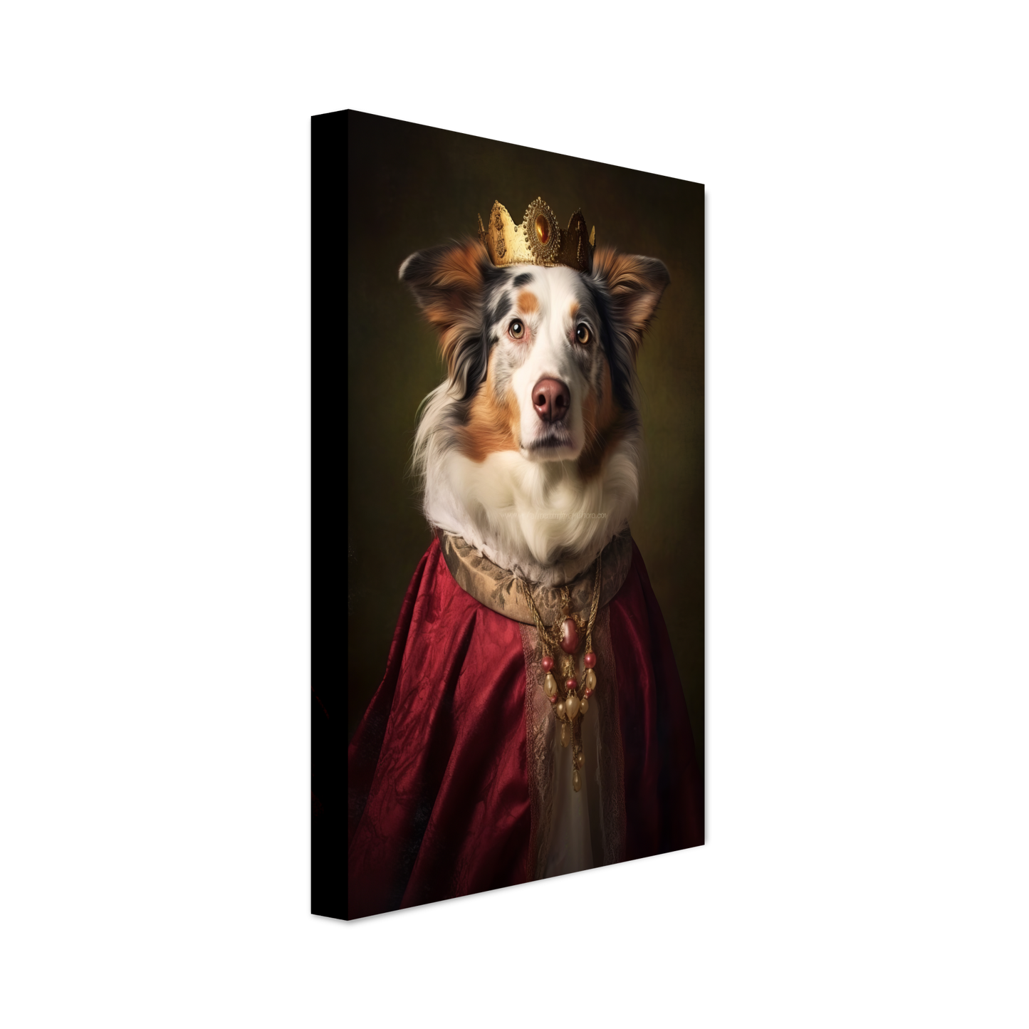 Australia Shepherd Renaissance (DOG336)