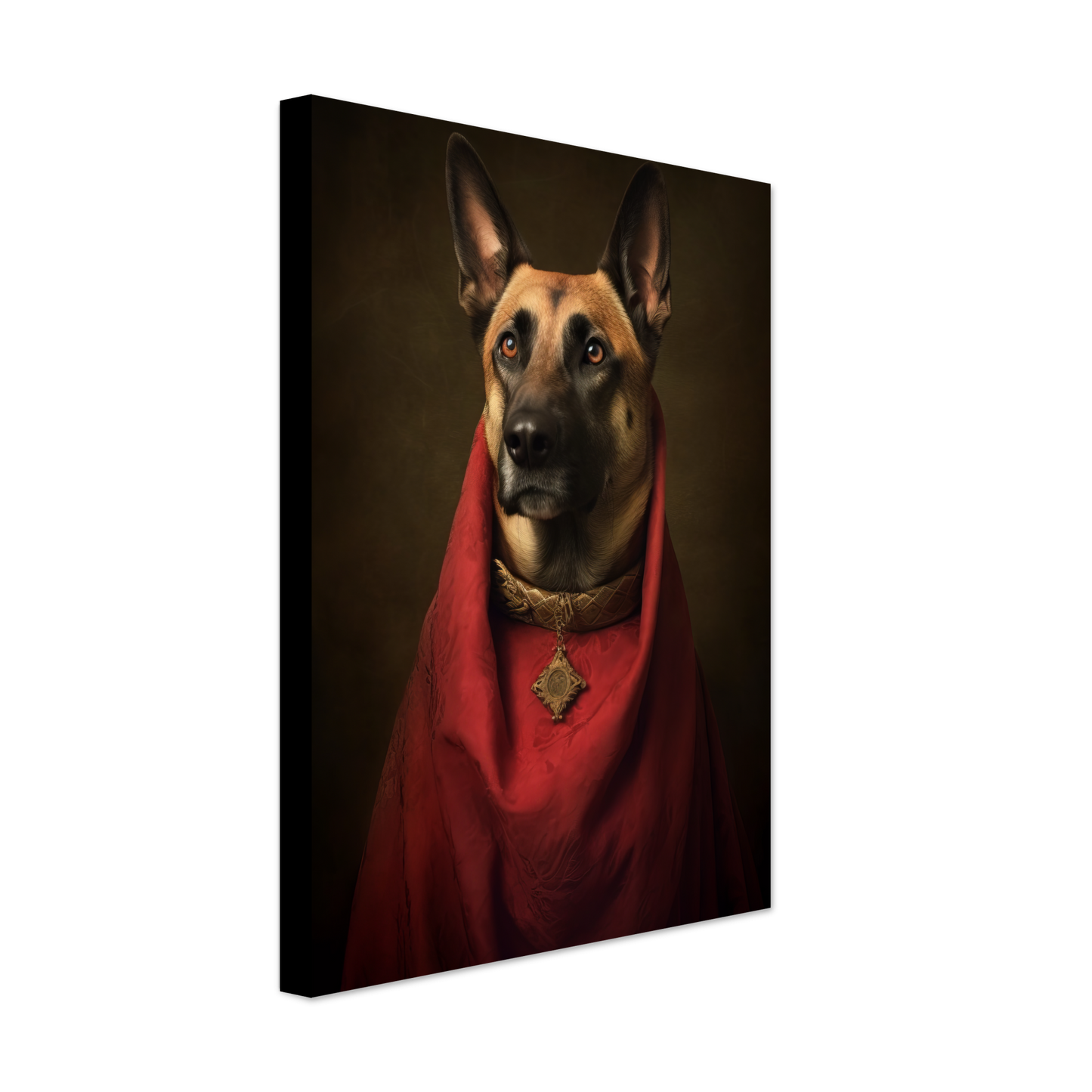 Malinois dog Renaissance (DOG345)