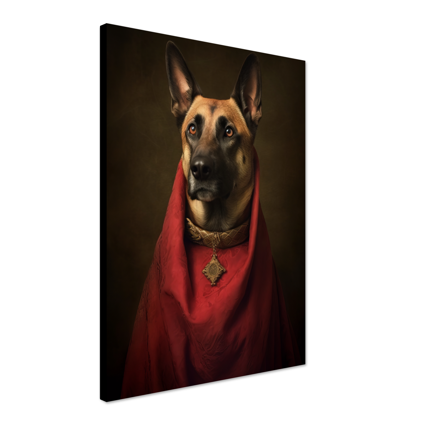 Malinois dog Renaissance (DOG345)