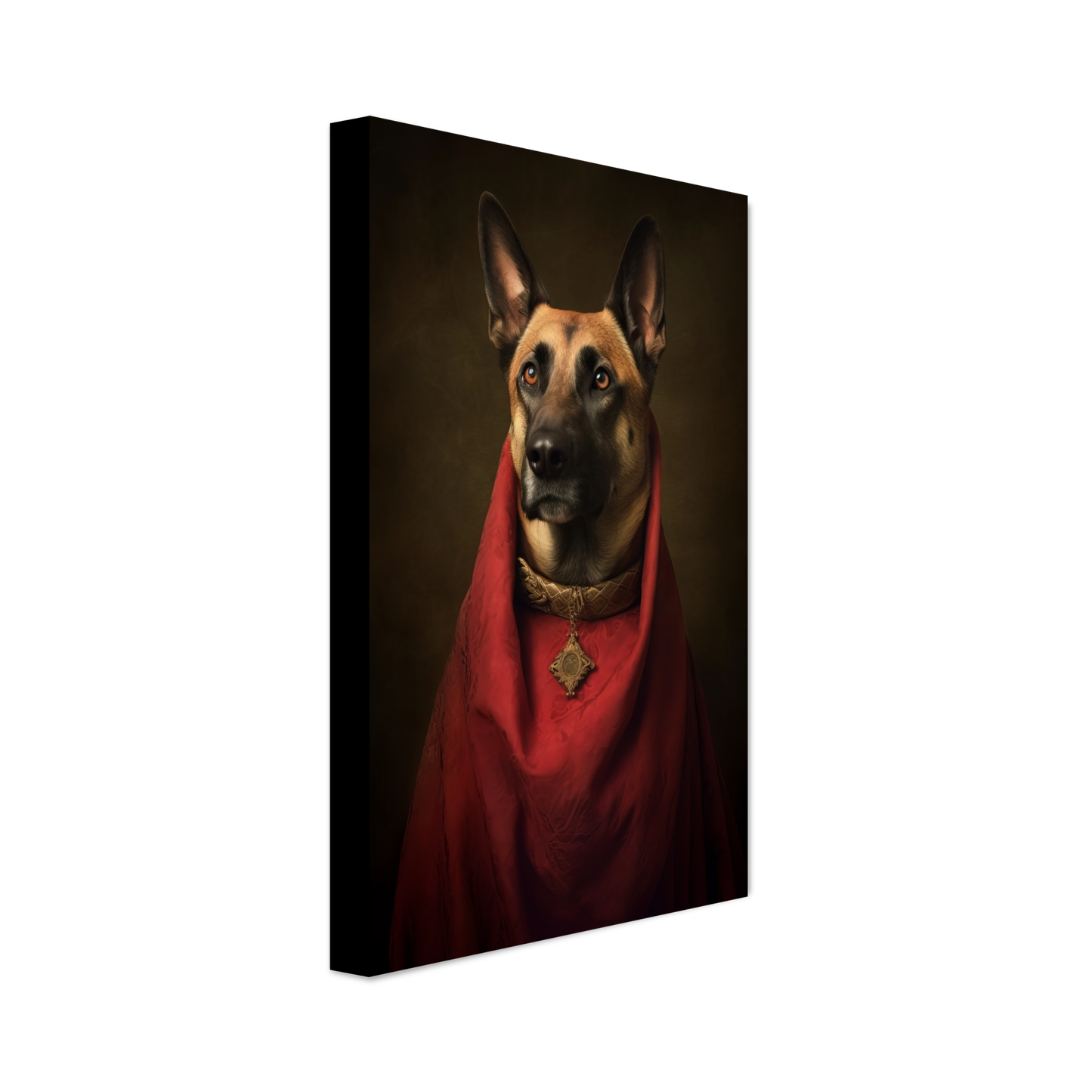 Malinois dog Renaissance (DOG345)