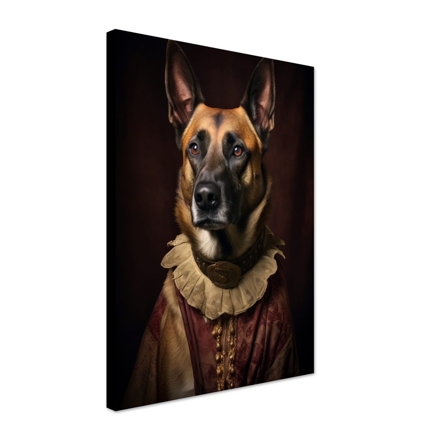 Malinois Hund Renaissance (DOG346)