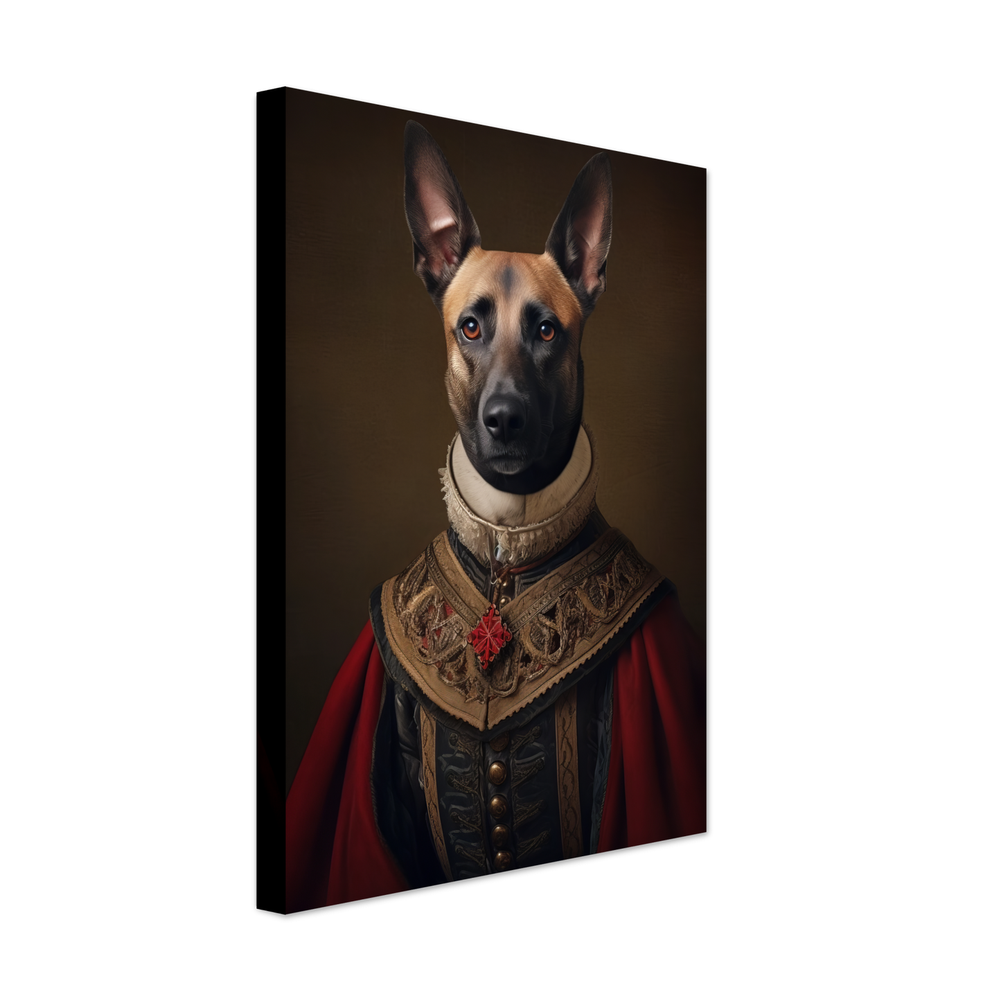 Malinois dog Renaissance (DOG347)