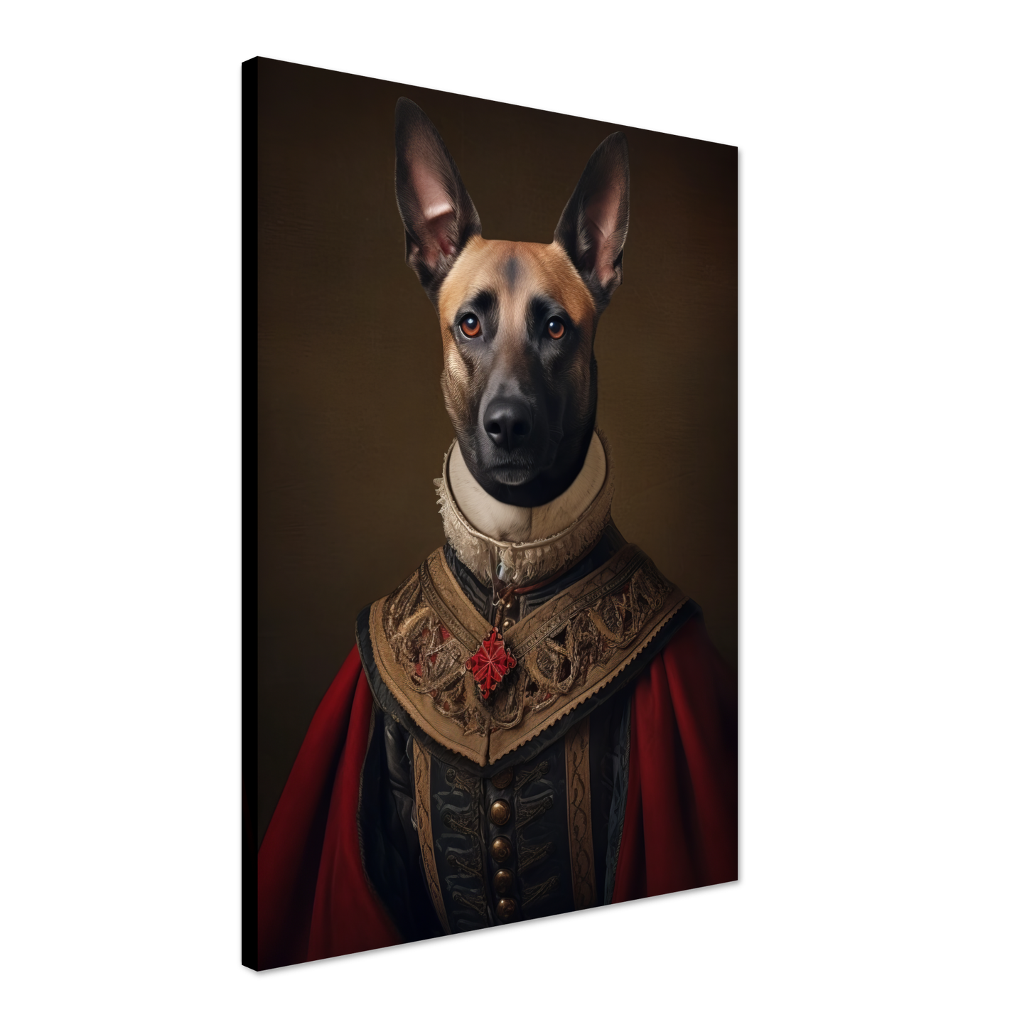 Malinois dog Renaissance (DOG347)