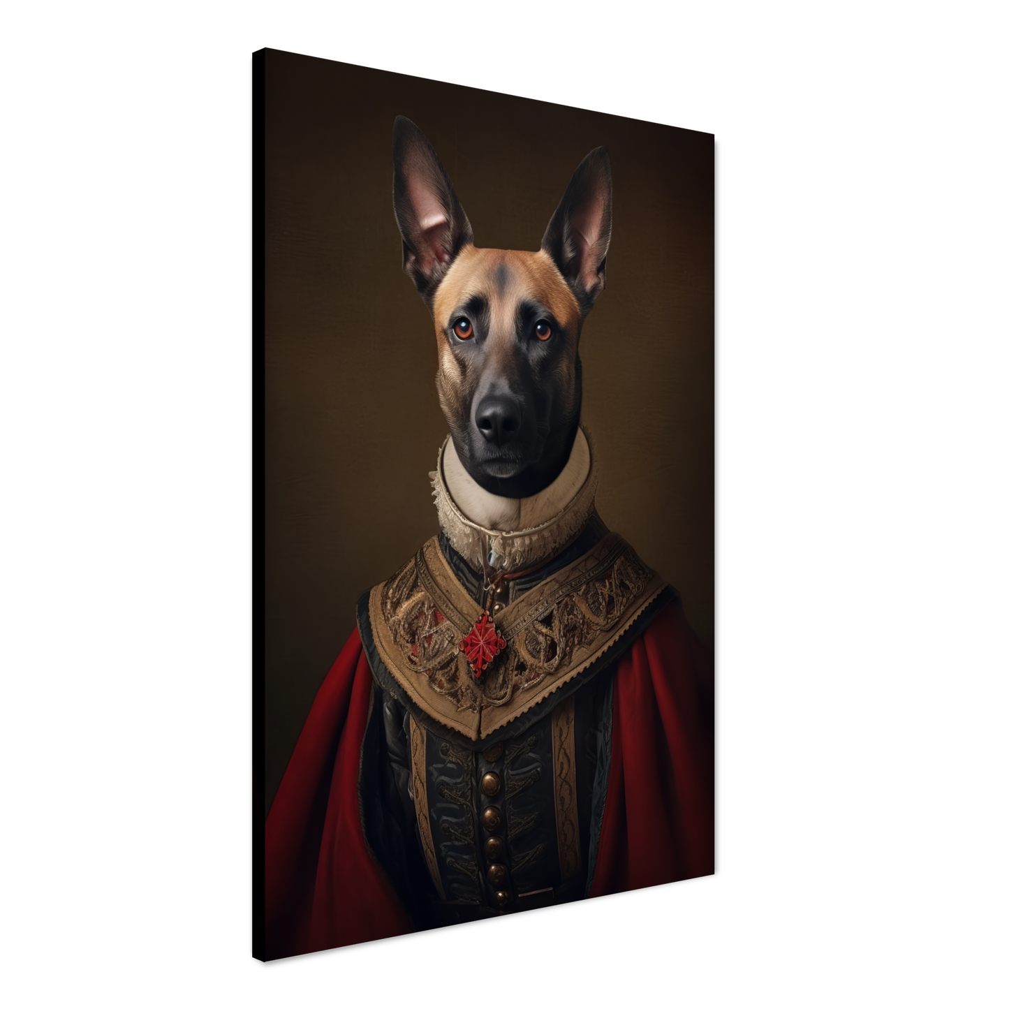Malinois dog Renaissance (DOG347)