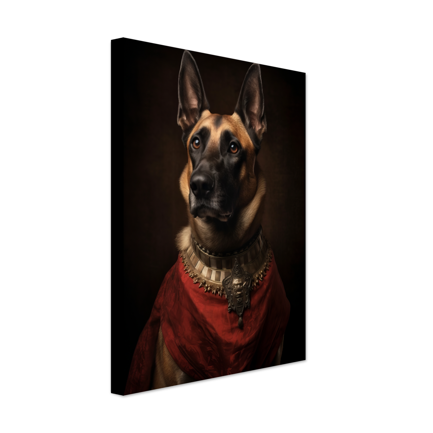 Malinois Hund Renaissance (DOG348)