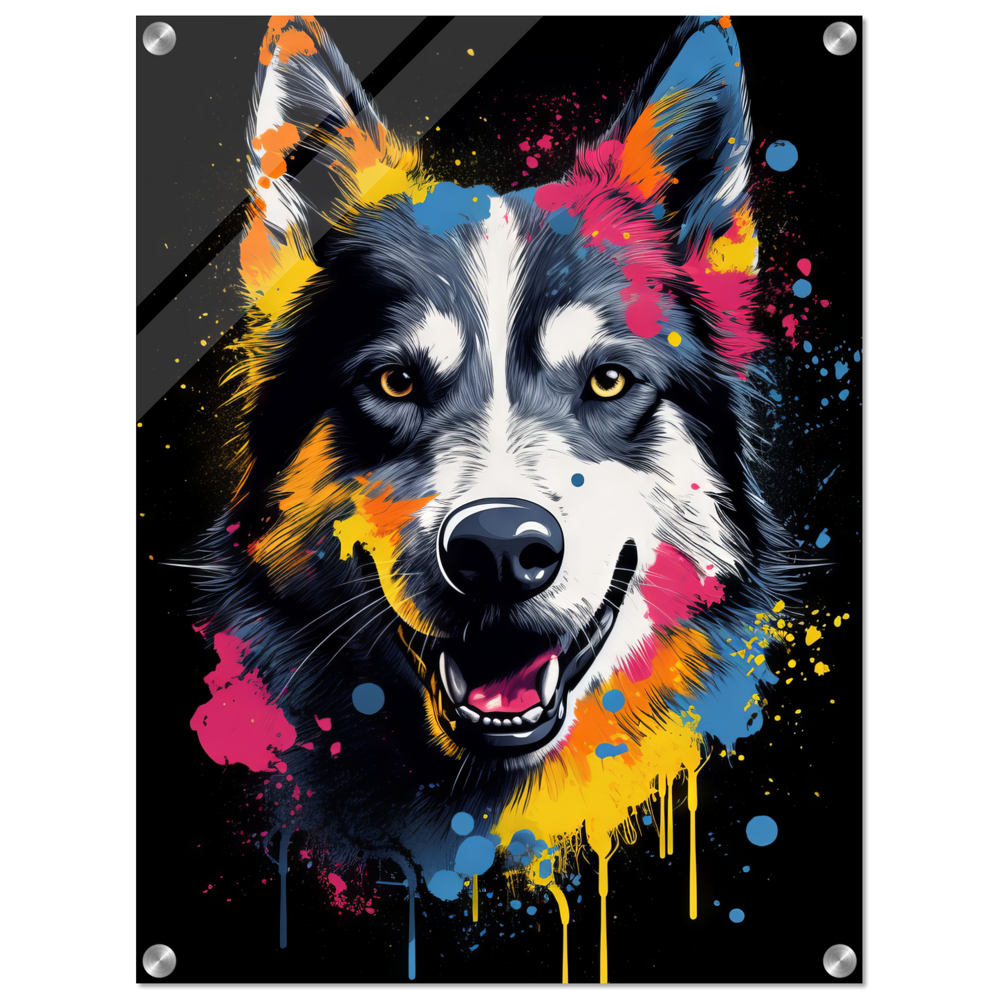 Dog Huskie Pop Art (DOG36)