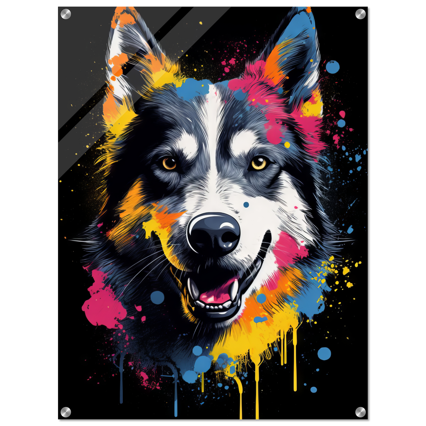 Dog Huskie Pop Art (DOG36)