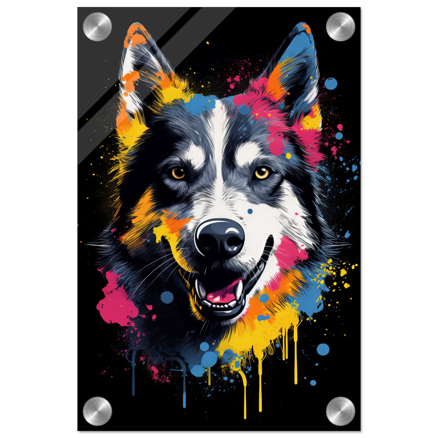 Dog Huskie Pop Art (DOG36)