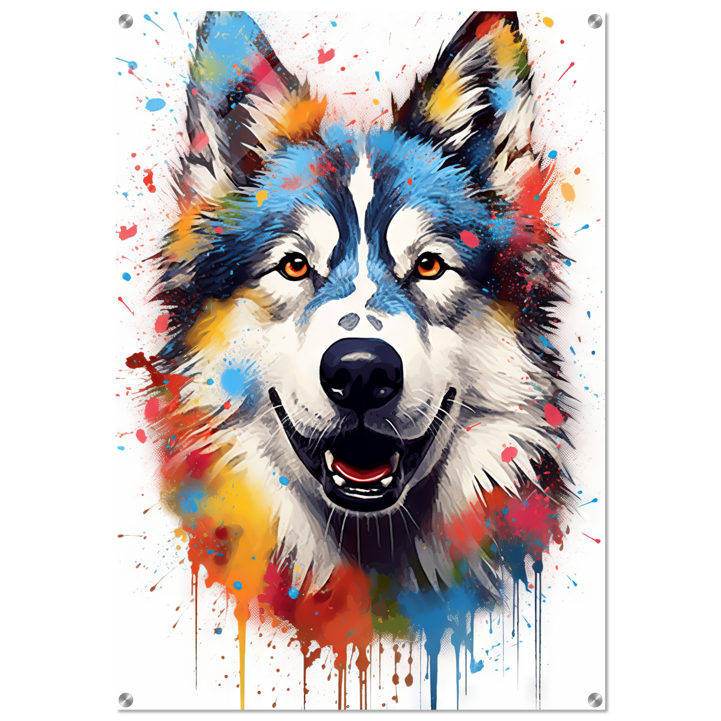 Dog Huskie Pop Art (DOG38)