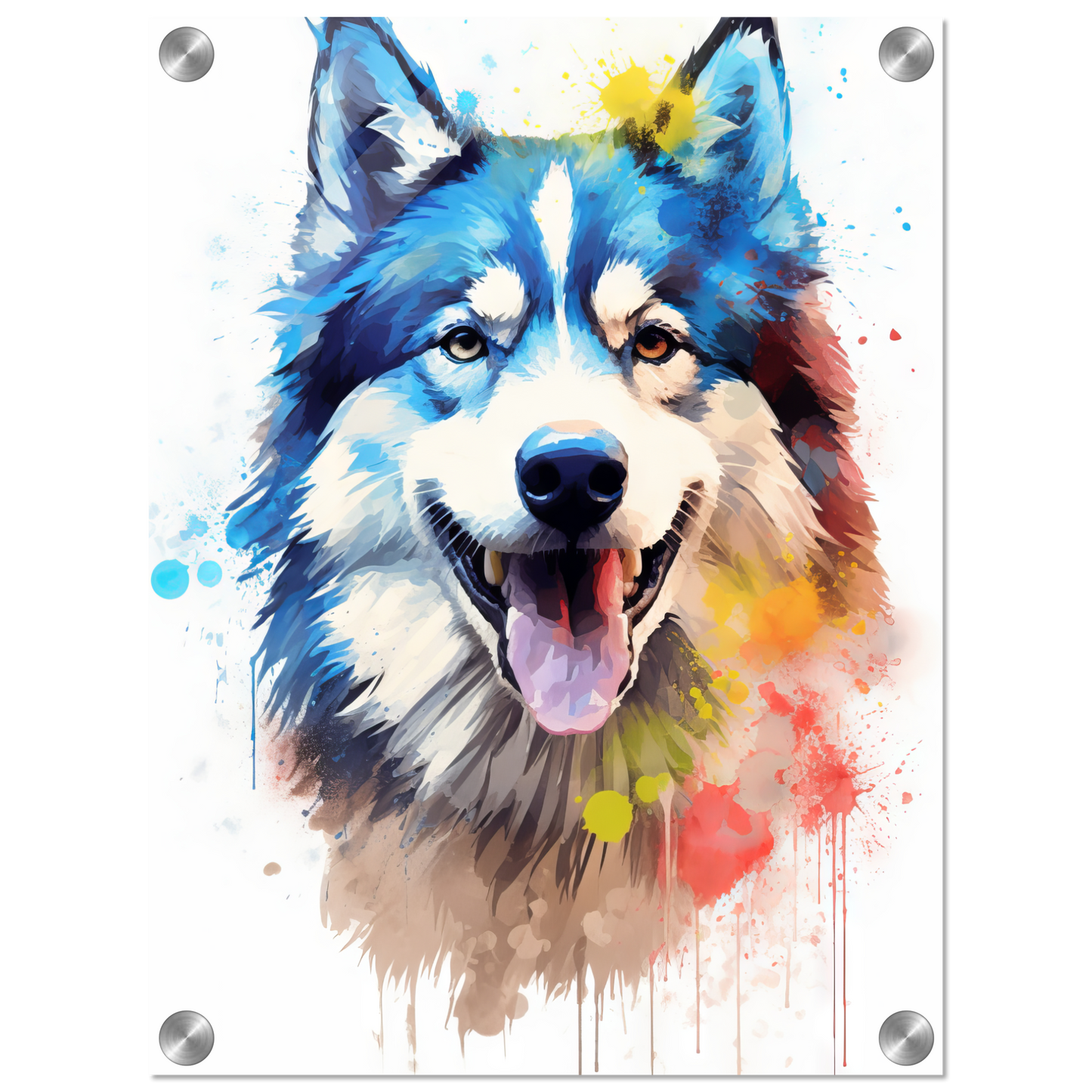 Dog Huskie Pop Art (DOG39)