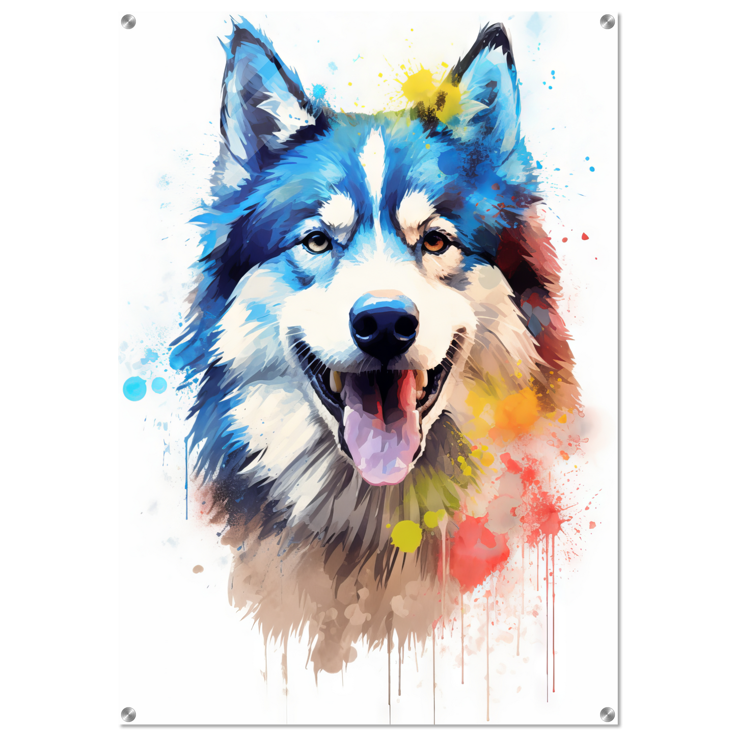 Dog Huskie Pop Art (DOG39)
