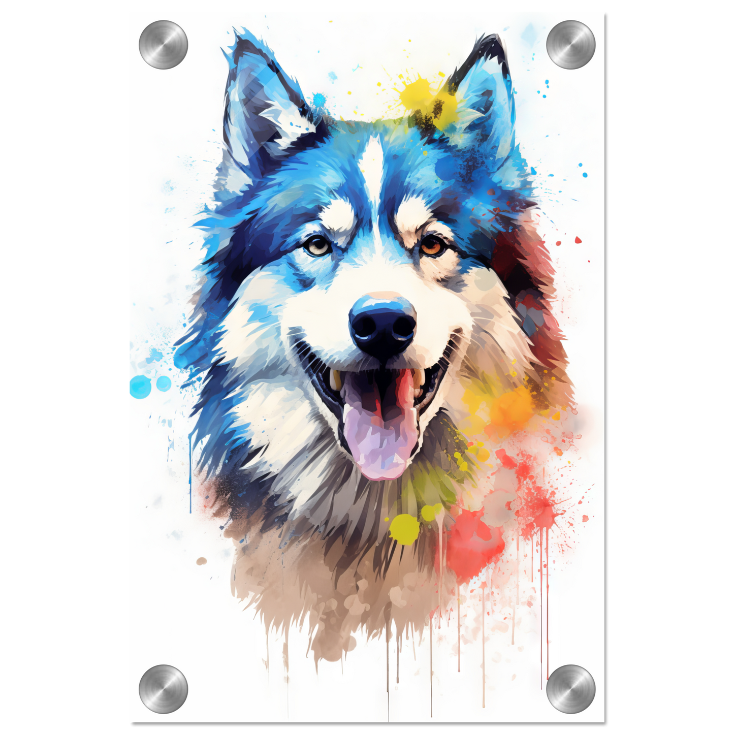 Dog Huskie Pop Art (DOG39)