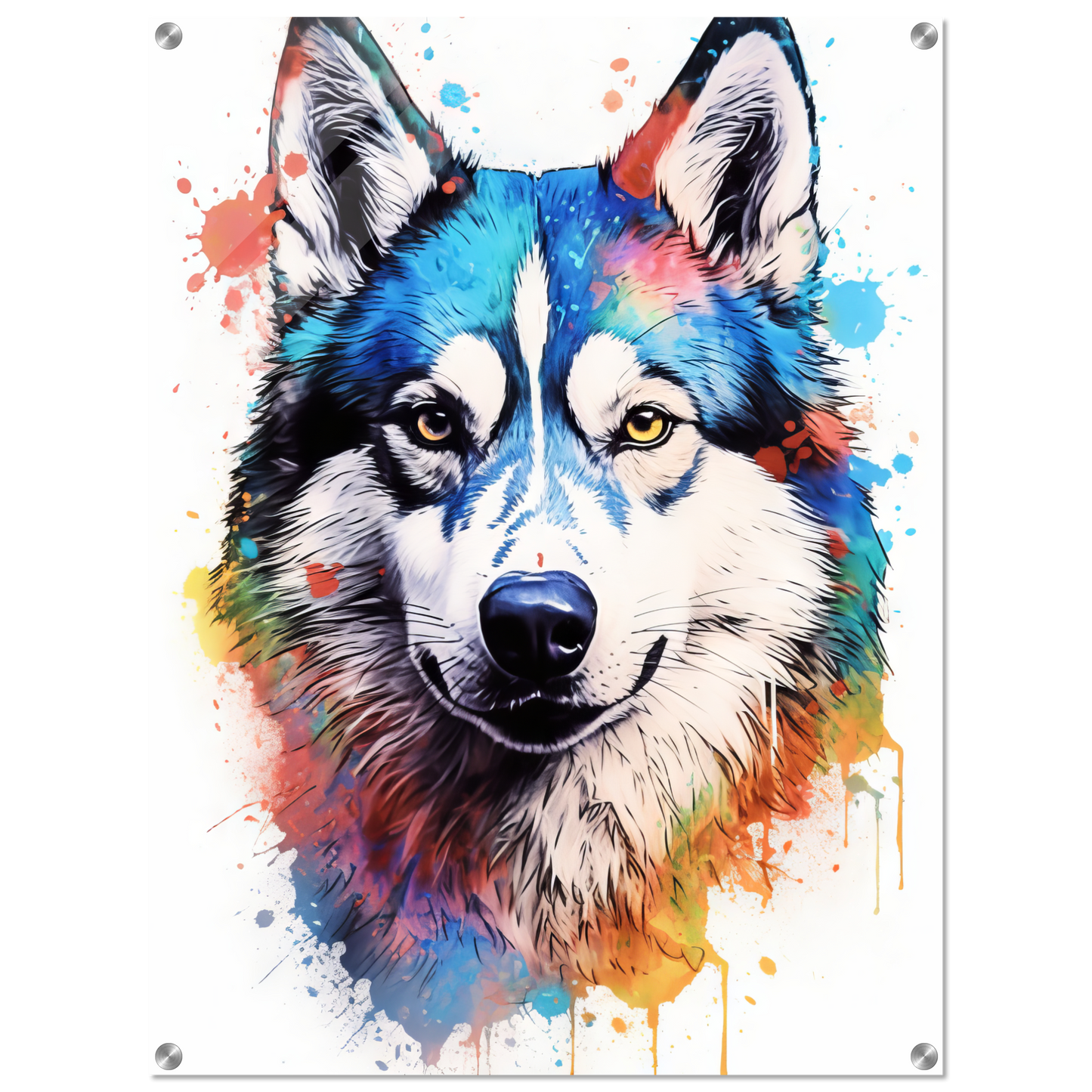 Dog Huskie Pop Art (DOG40)