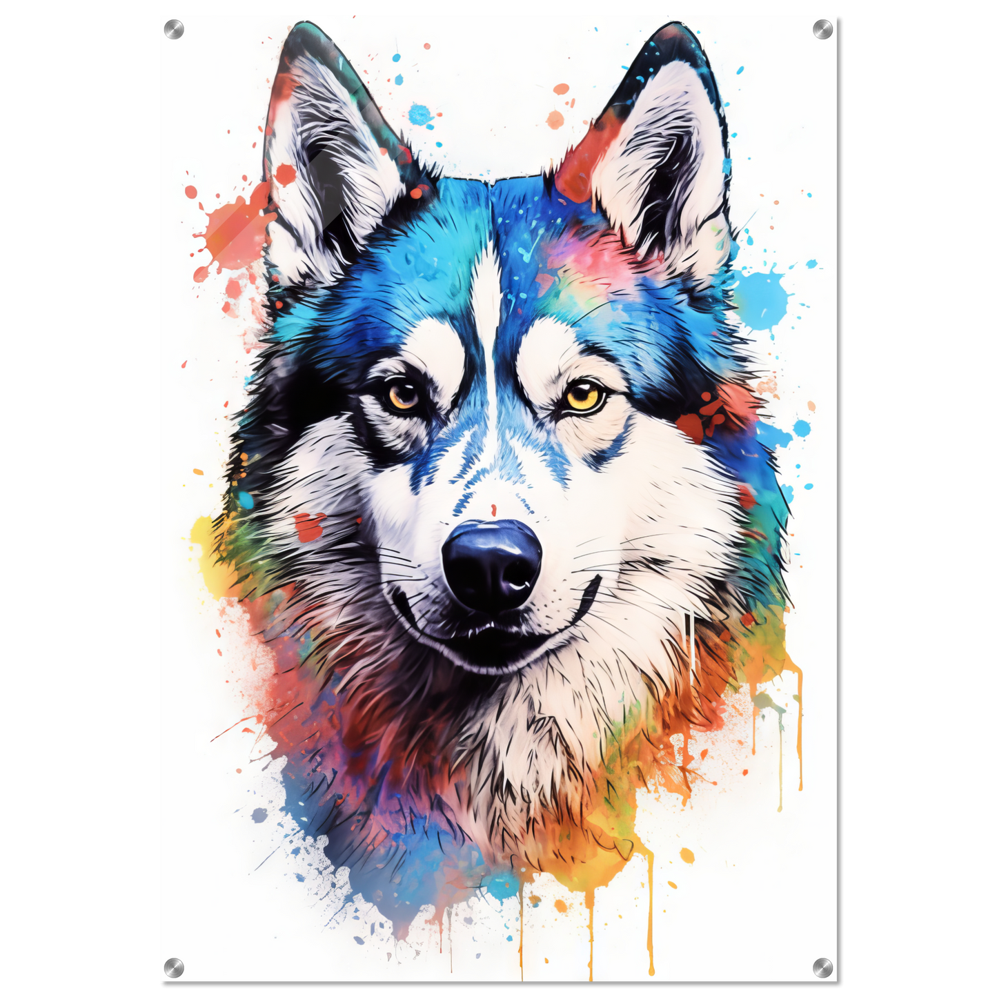 Dog Huskie Pop Art (DOG40)