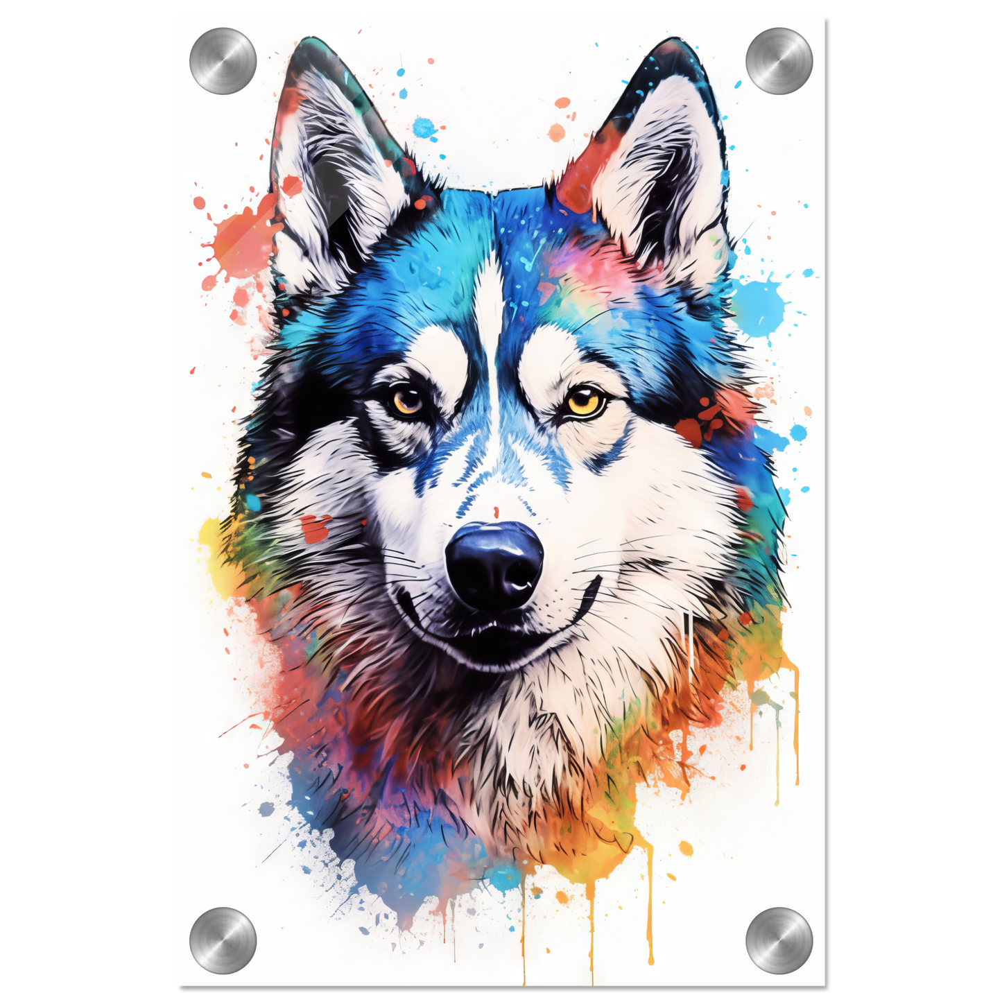 Dog Huskie Pop Art (DOG40)