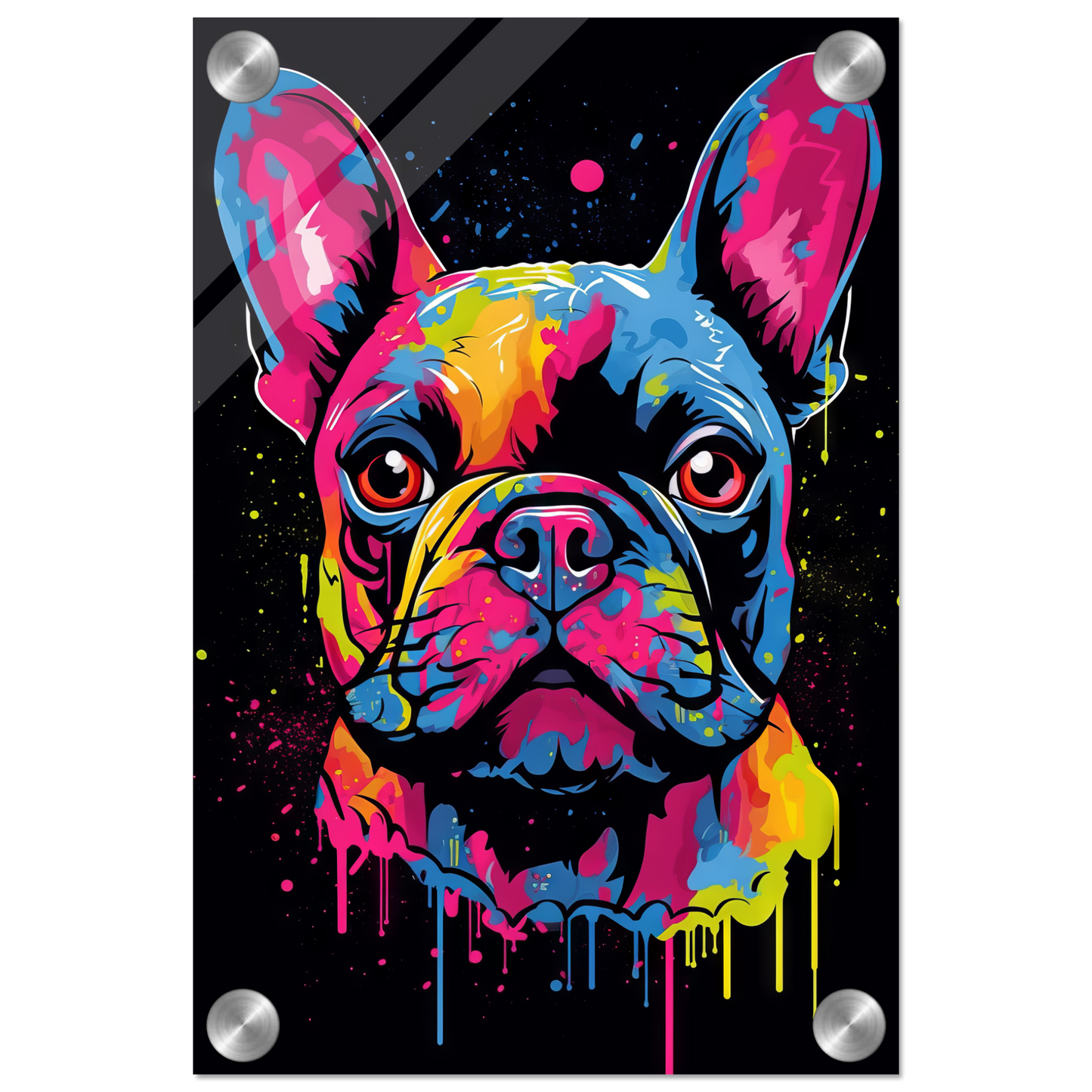 Dog French Bulldog Pop Art (DOG65)