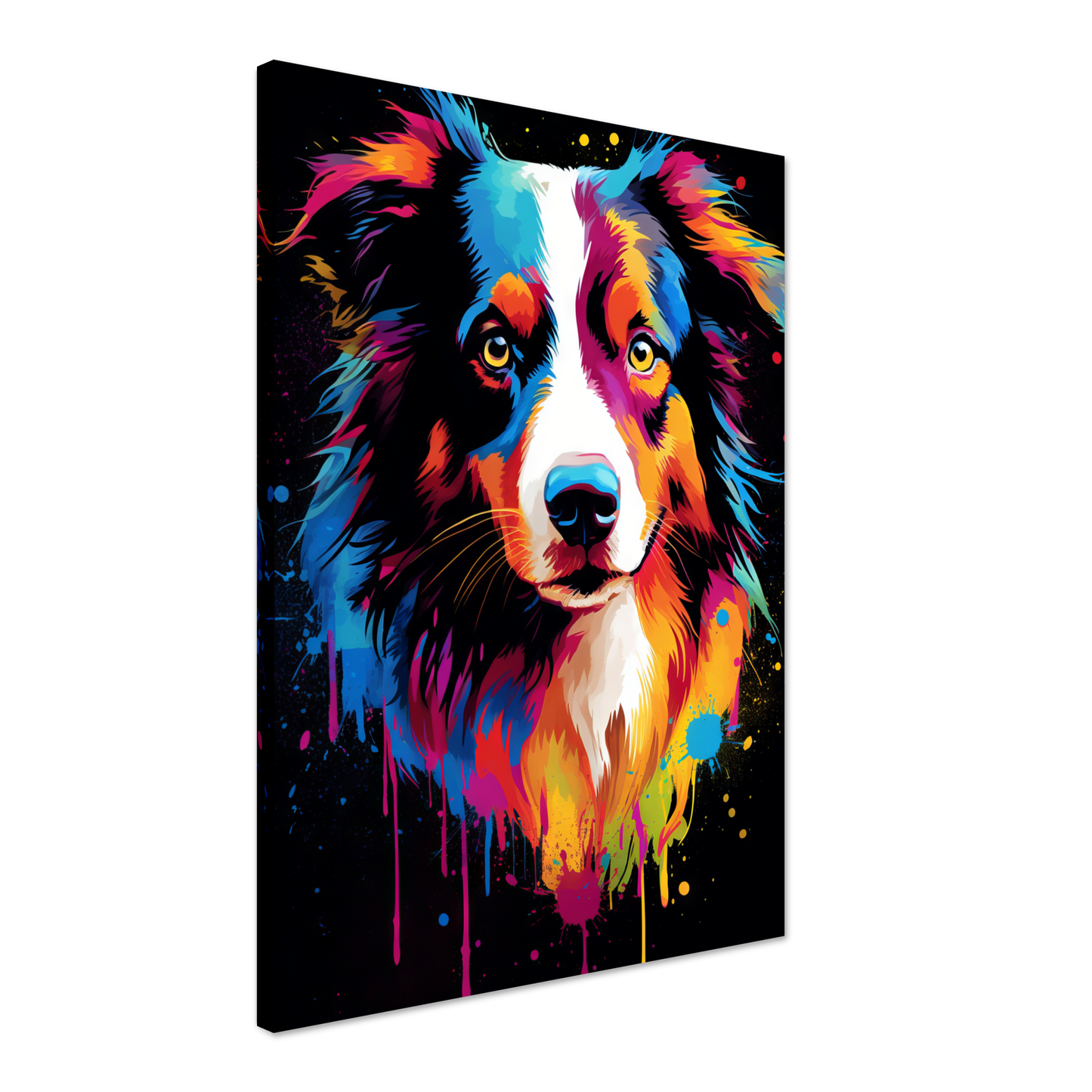 Dog collie pop art (DOG81)
