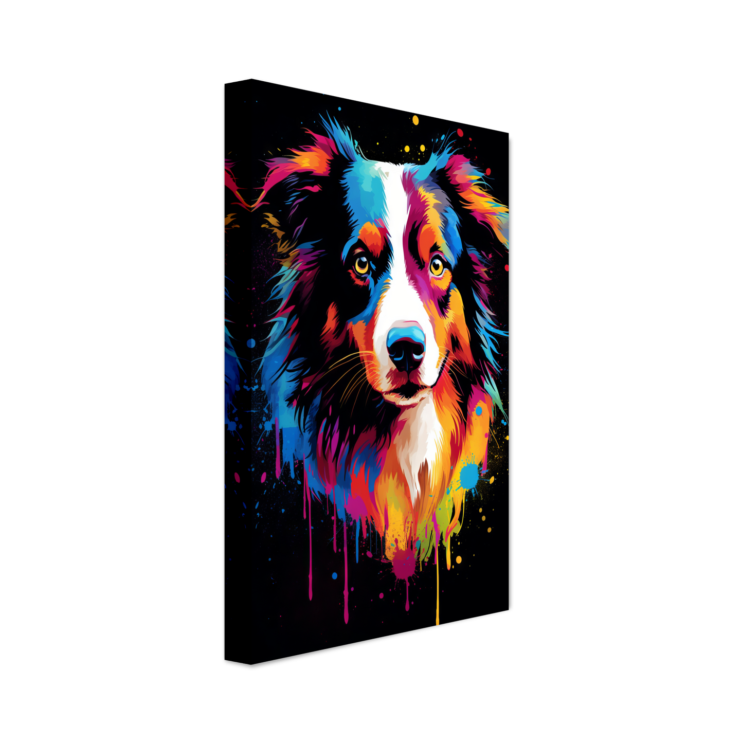 Dog collie pop art (DOG81)