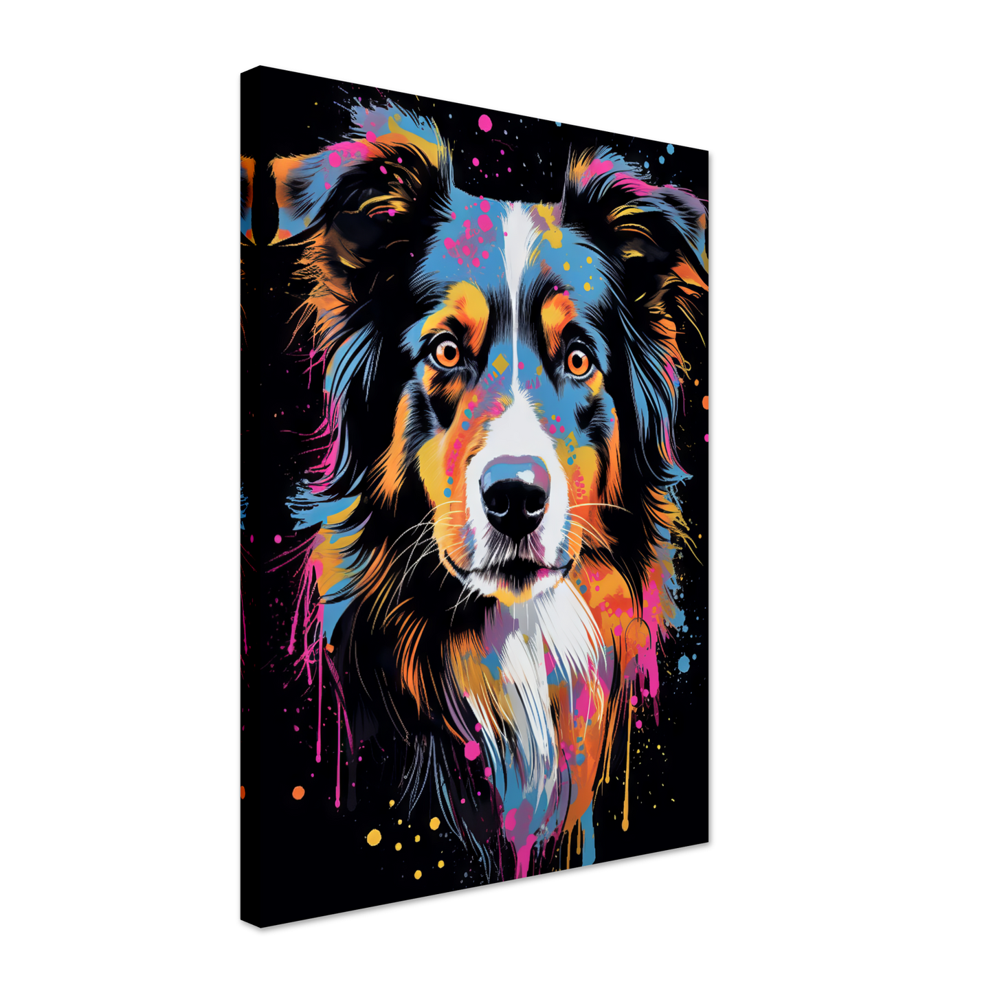 Dog collie pop art (DOG84)