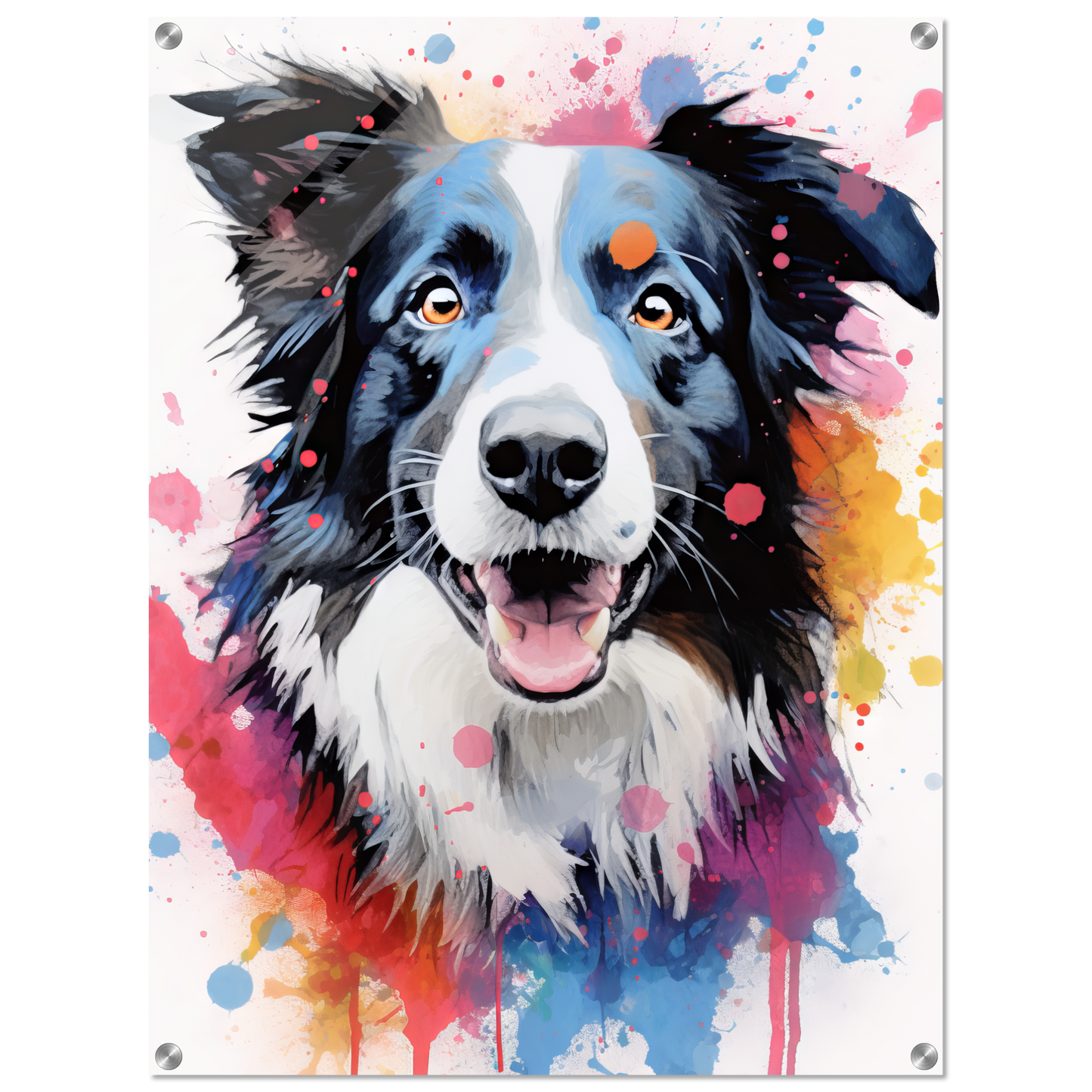 Dog collie pop art (DOG86)