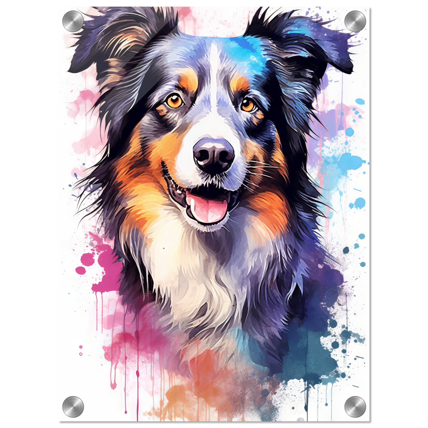 Dog collie pop art (DOG87)