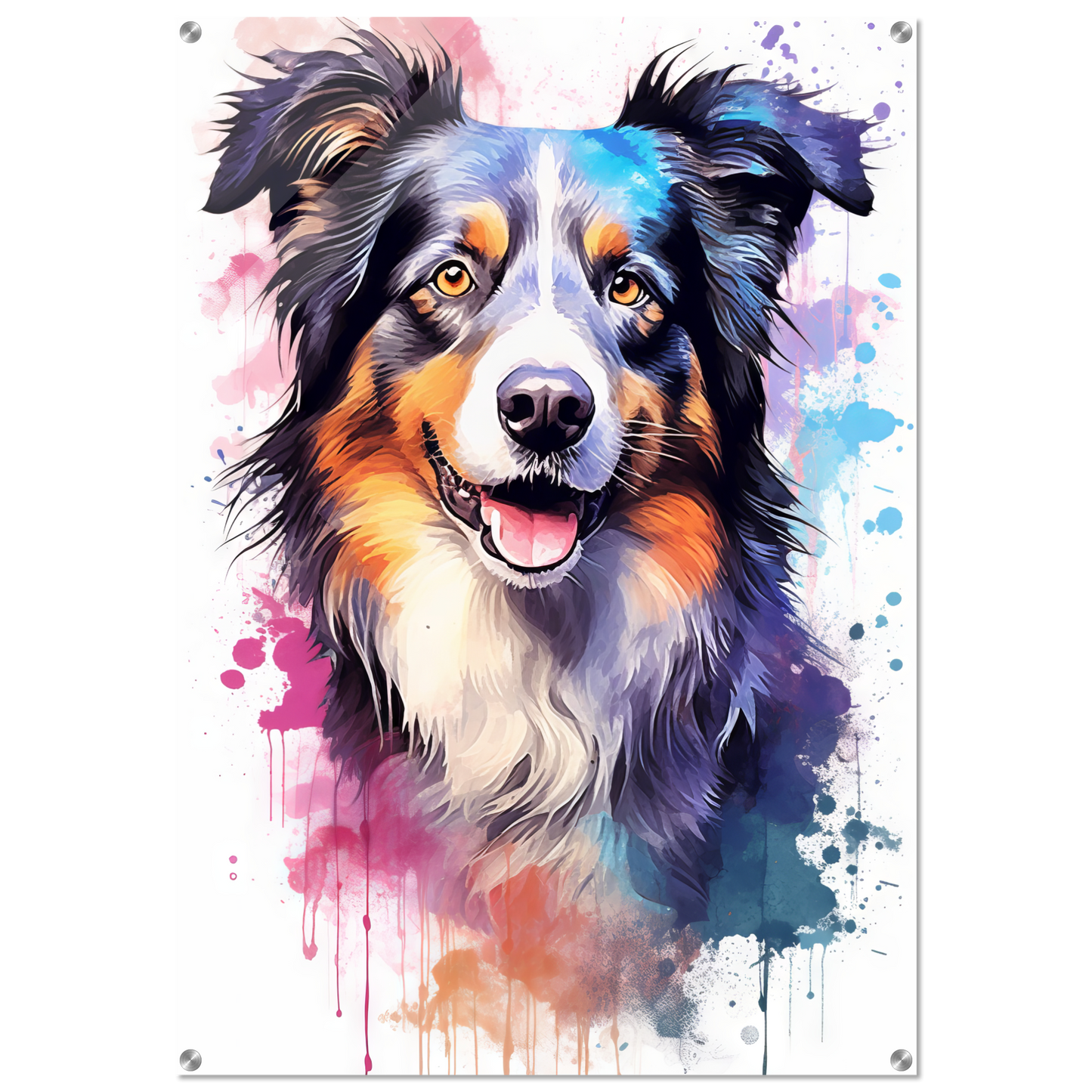 Dog collie pop art (DOG87)