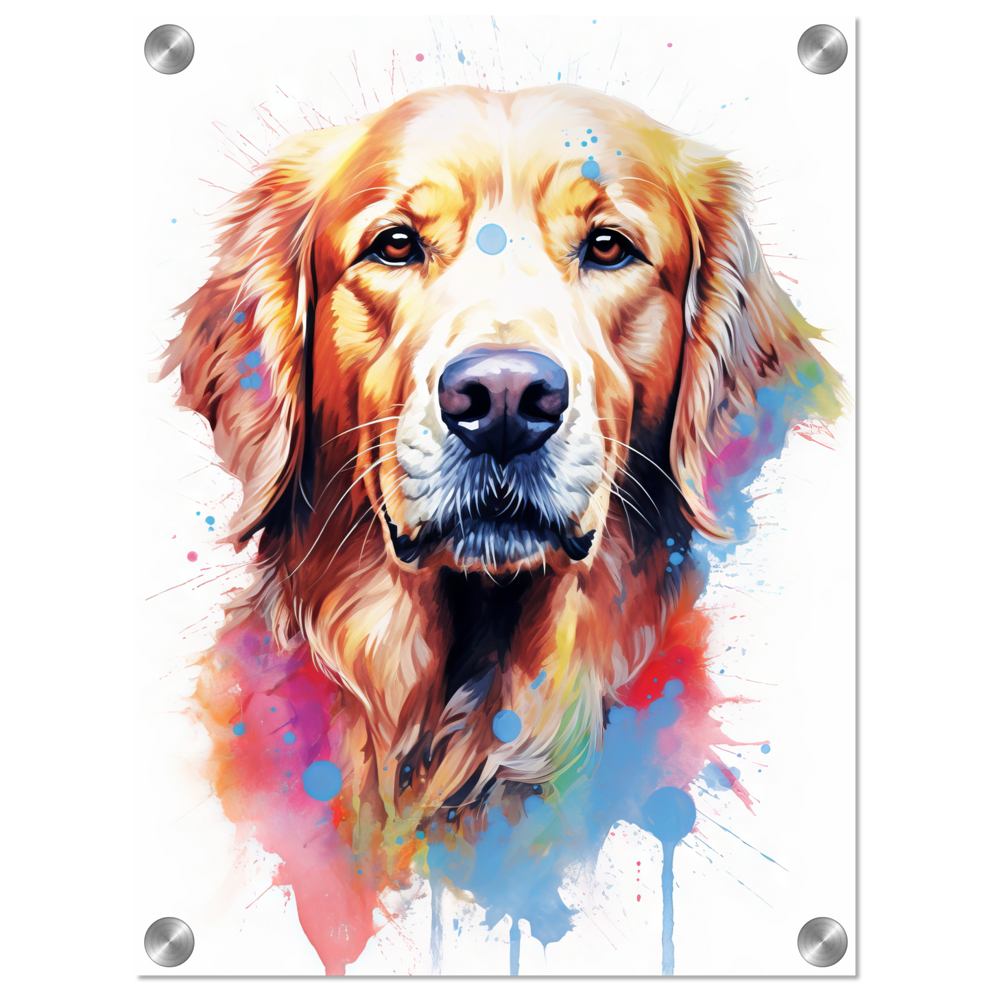 Dog Golden Retriever Pop Art (DOG98)