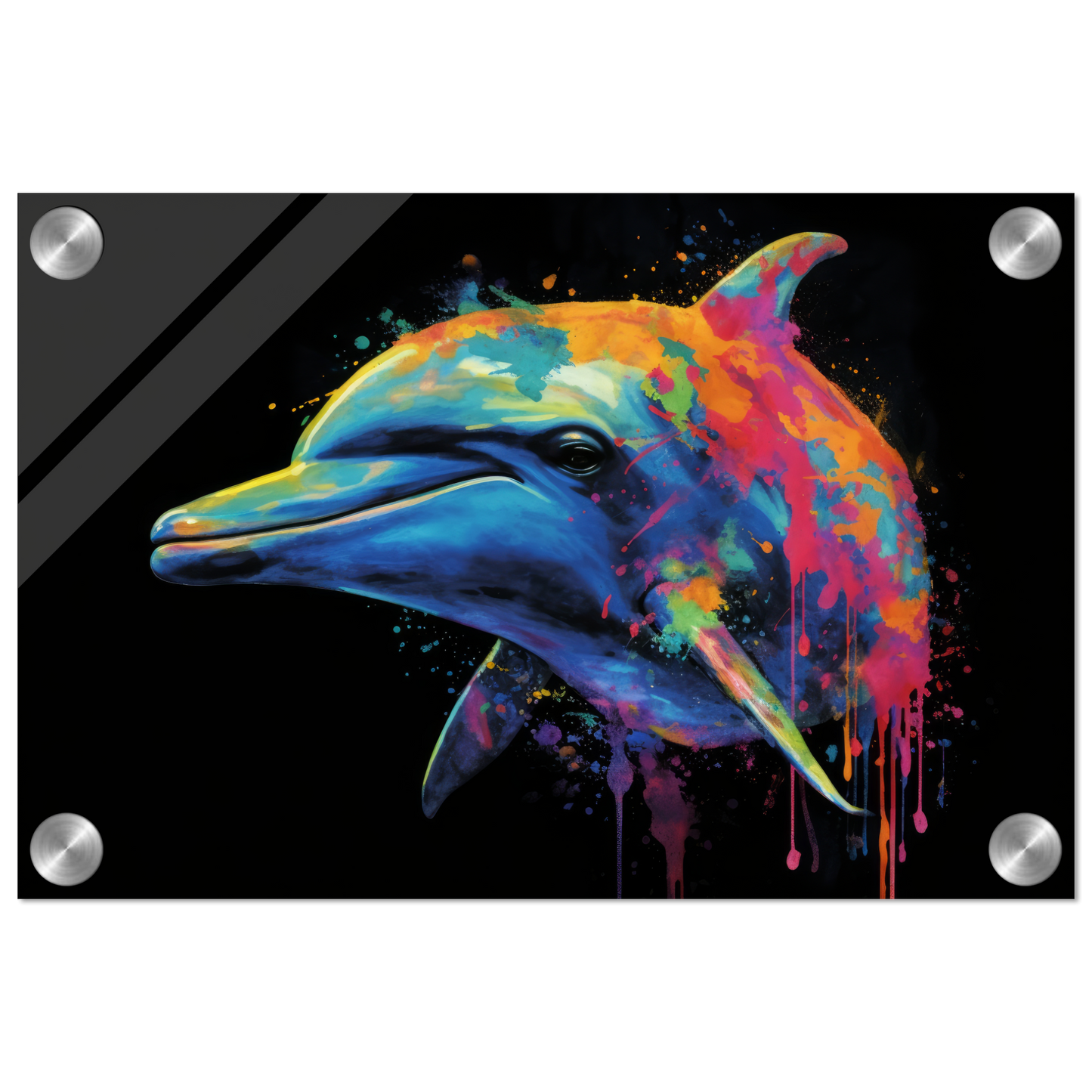 Dolphin dolphin pop art (FISH19)
