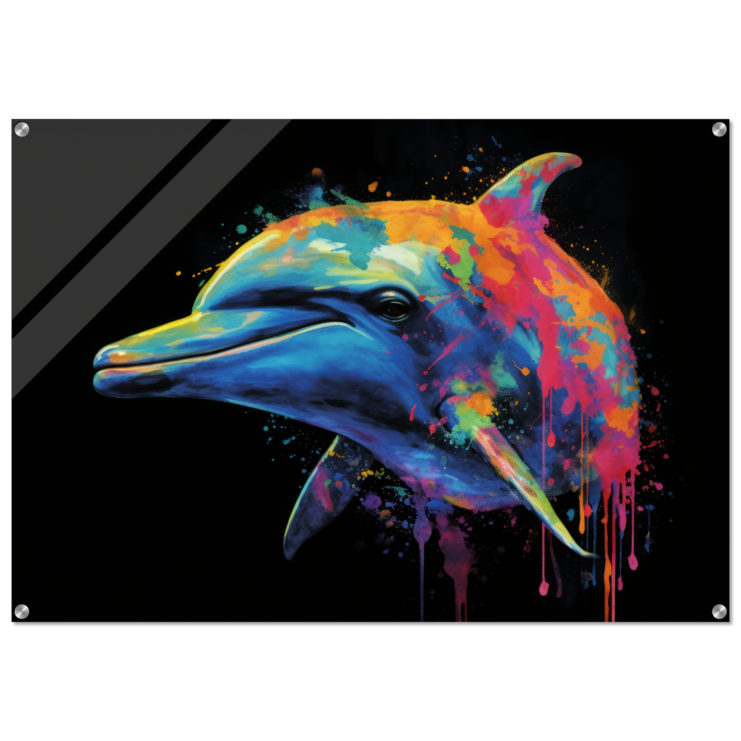 Dolphin dolphin pop art (FISH19)