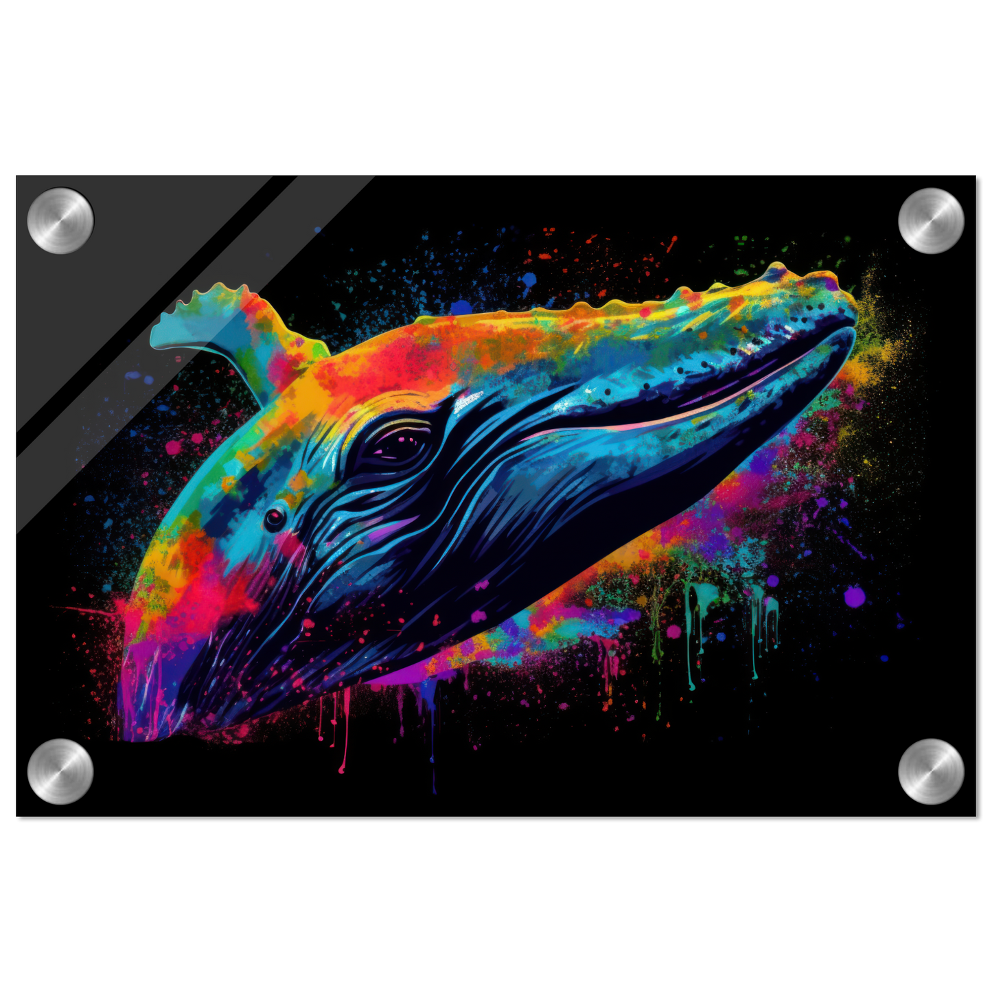 Wal Wale Pop-Art (FISH44)