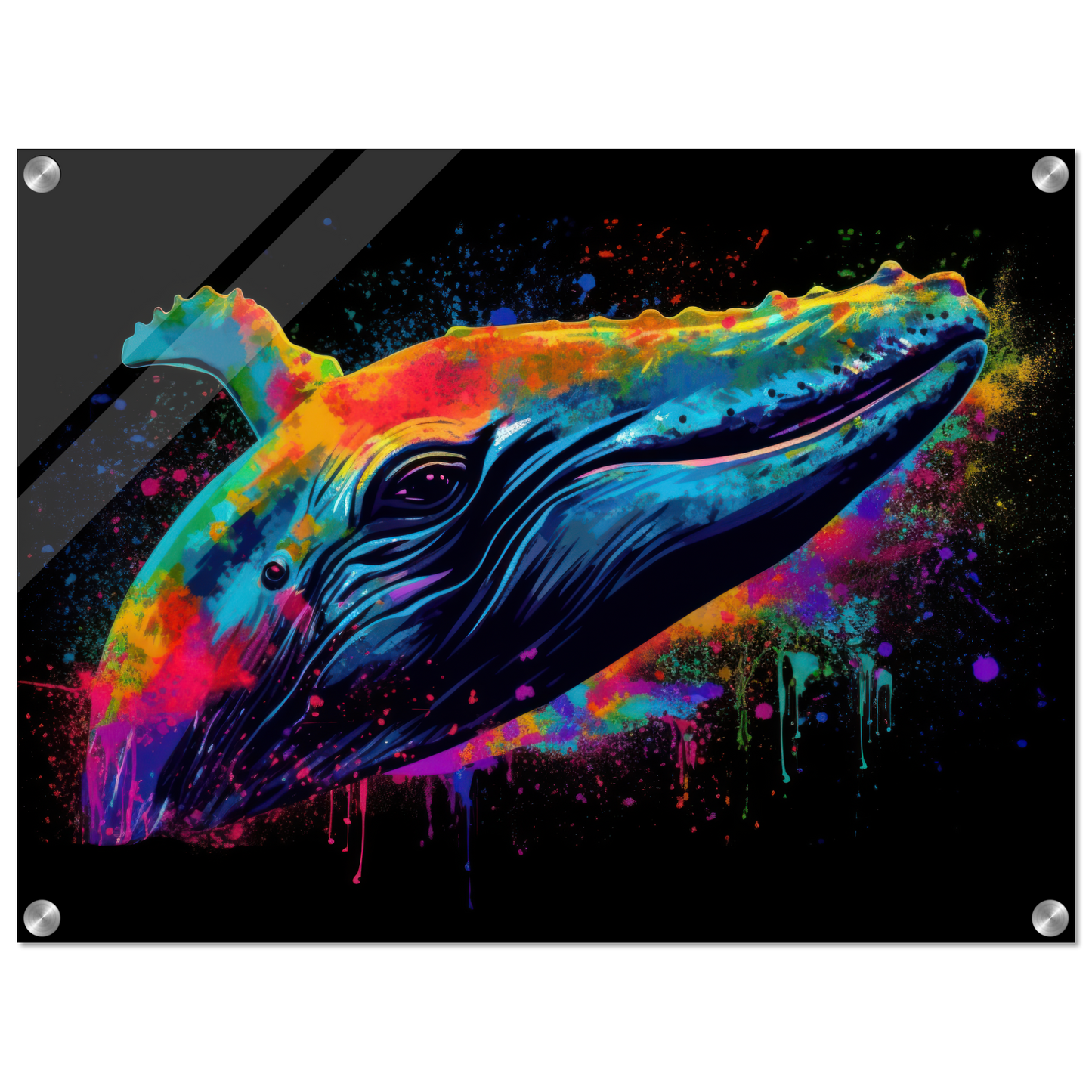 Wal Wale Pop-Art (FISH44)