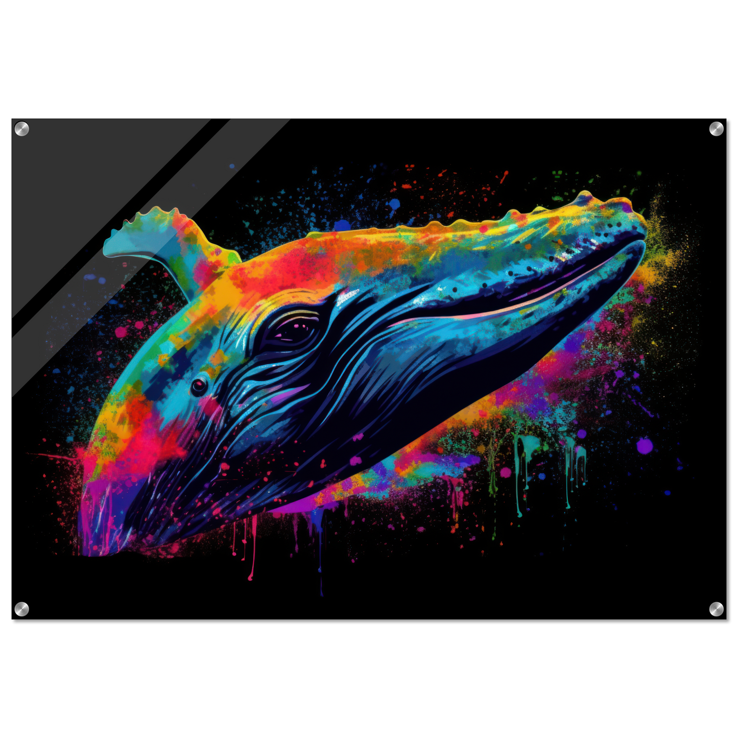Wal Wale Pop-Art (FISH44)