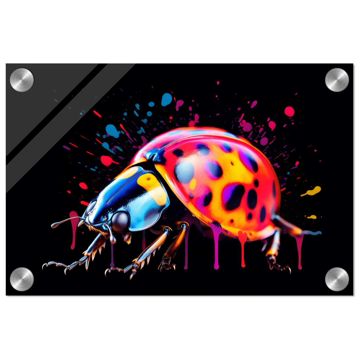 Marienkäfer Pop-Art (INSECT12)