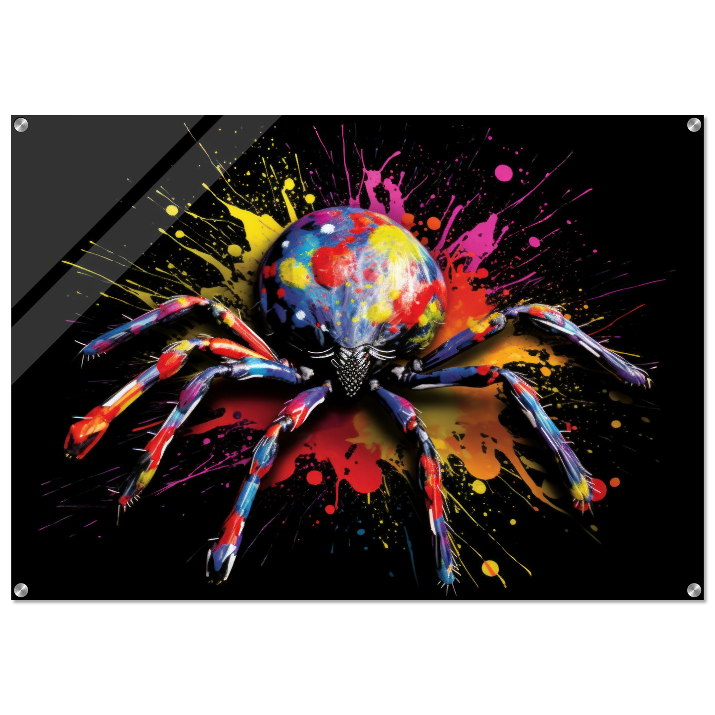 Spider pop art (INSECT19)